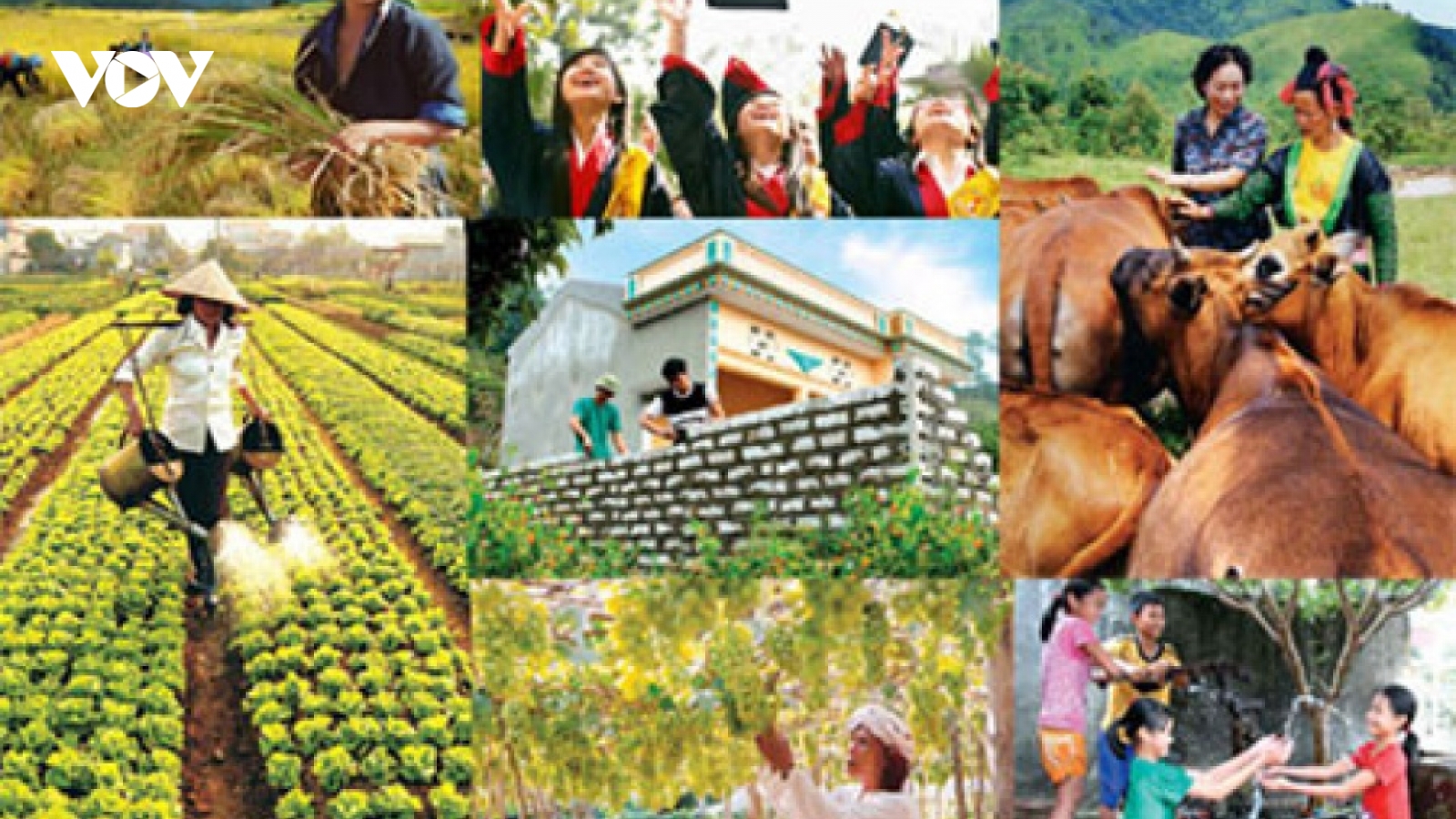 Không chờ đến khi kinh tế phát triển mới thực hiện tiến bộ và công bằng xã hội