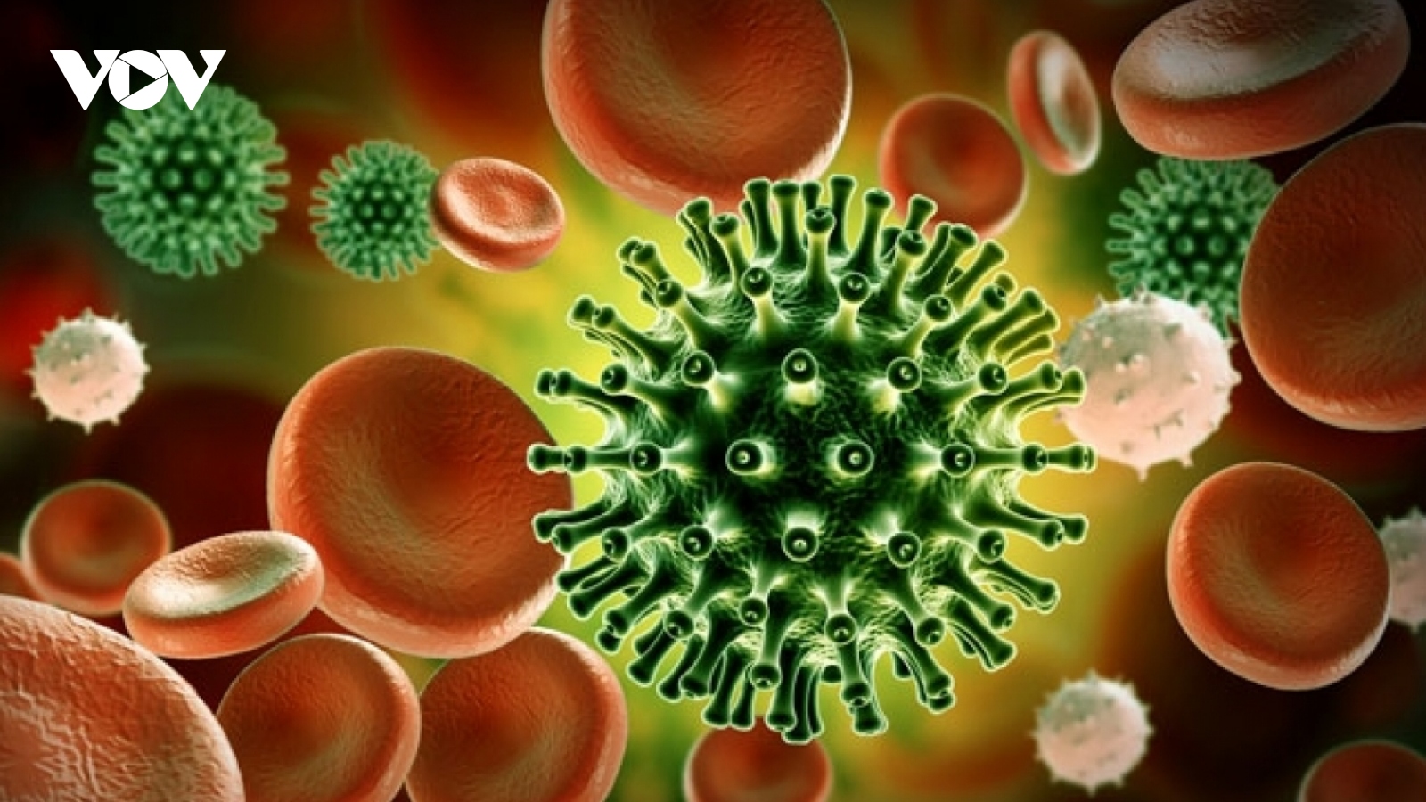 Two new strains of SARS-CoV-2 detected in Vietnam