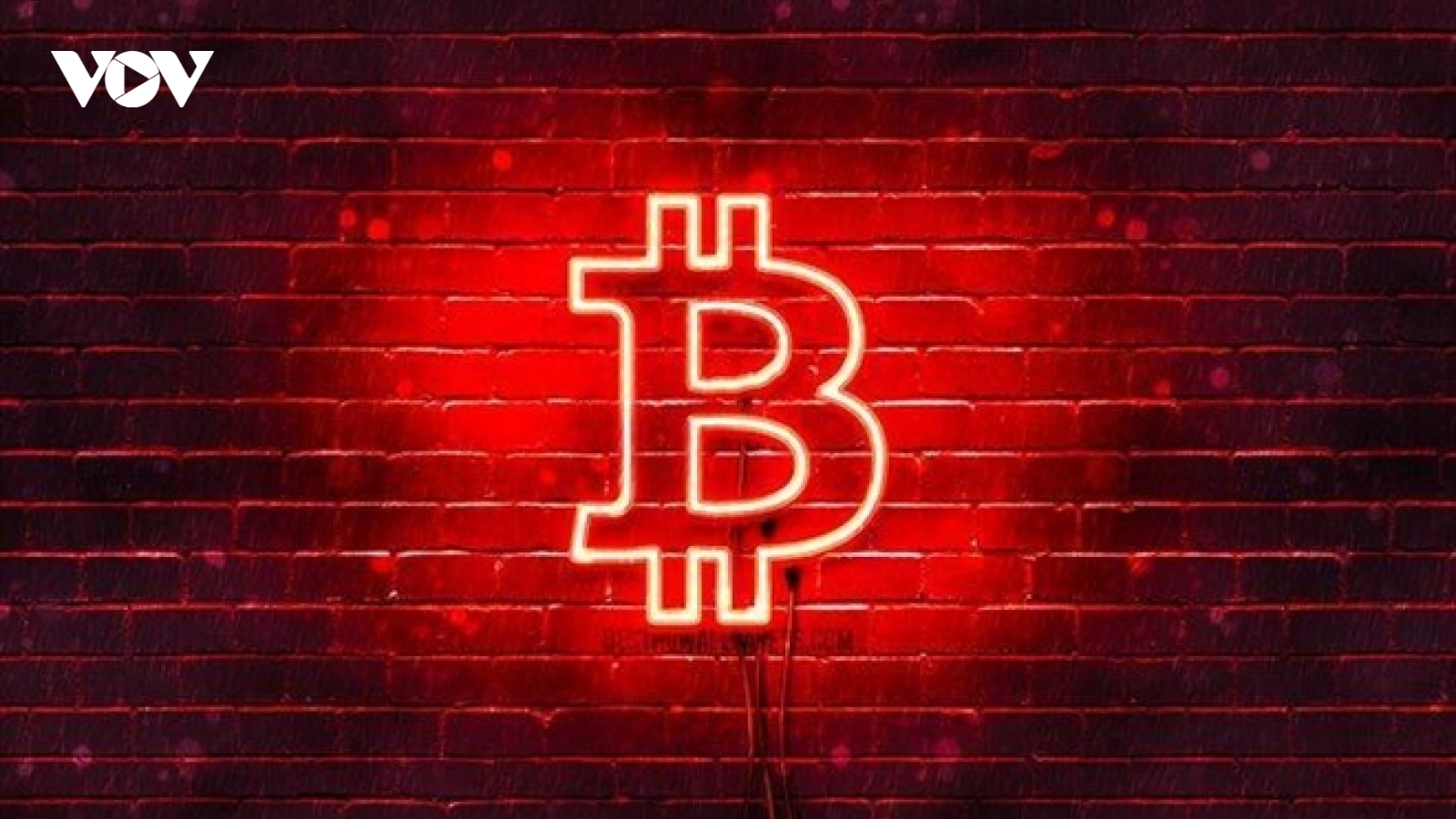 Bitcoin "bốc cháy", người chơi hoảng sợ: Điều gì sẽ xảy ra tiếp theo?