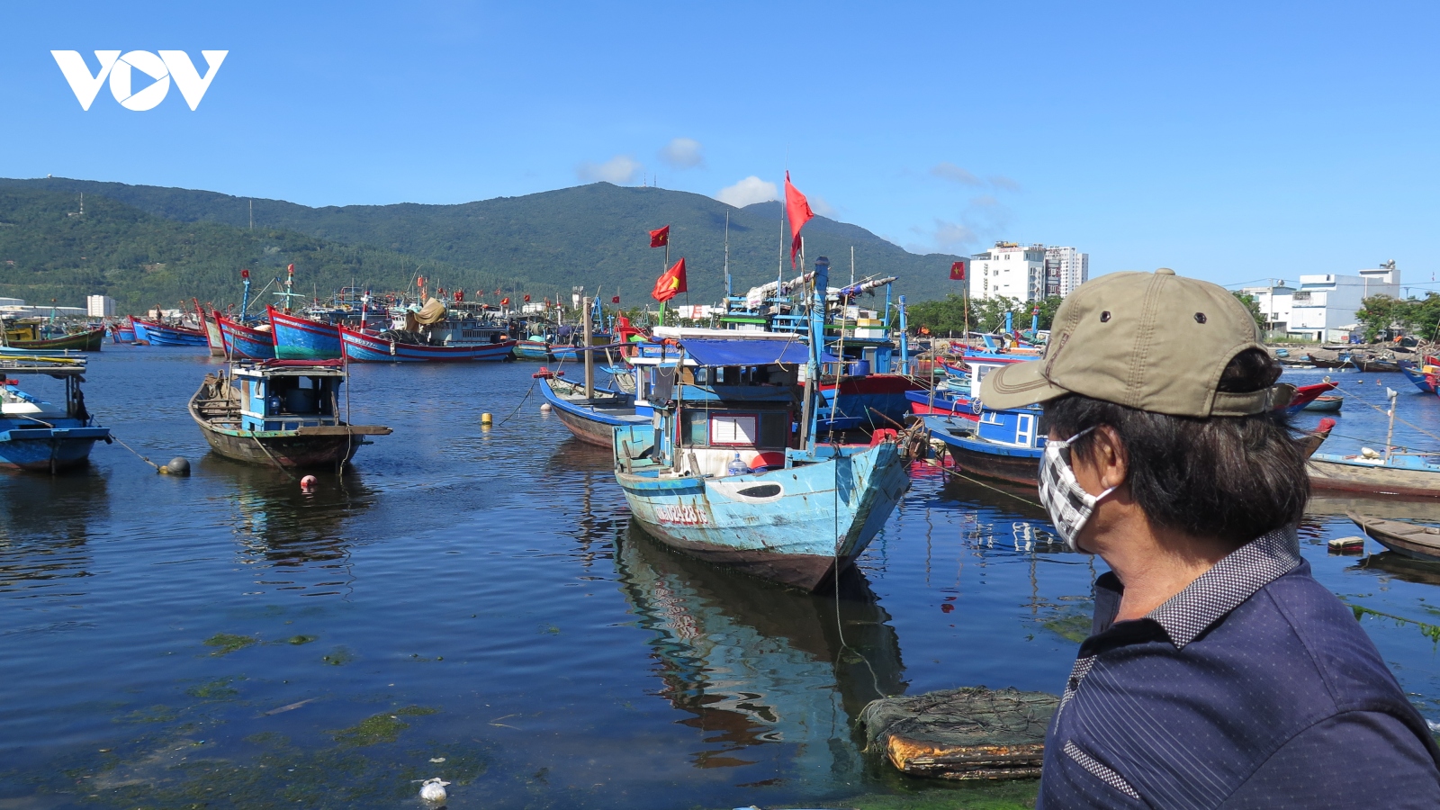 Ngư dân Đà Nẵng hối hả vào bờ kịp ngày bầu cử