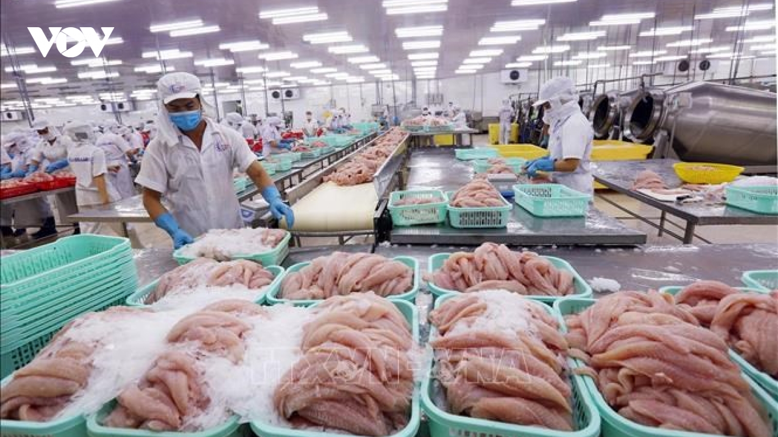ADB đánh giá kinh tế Việt Nam tăng trưởng mạnh nhờ kiểm soát thành công Covid-19