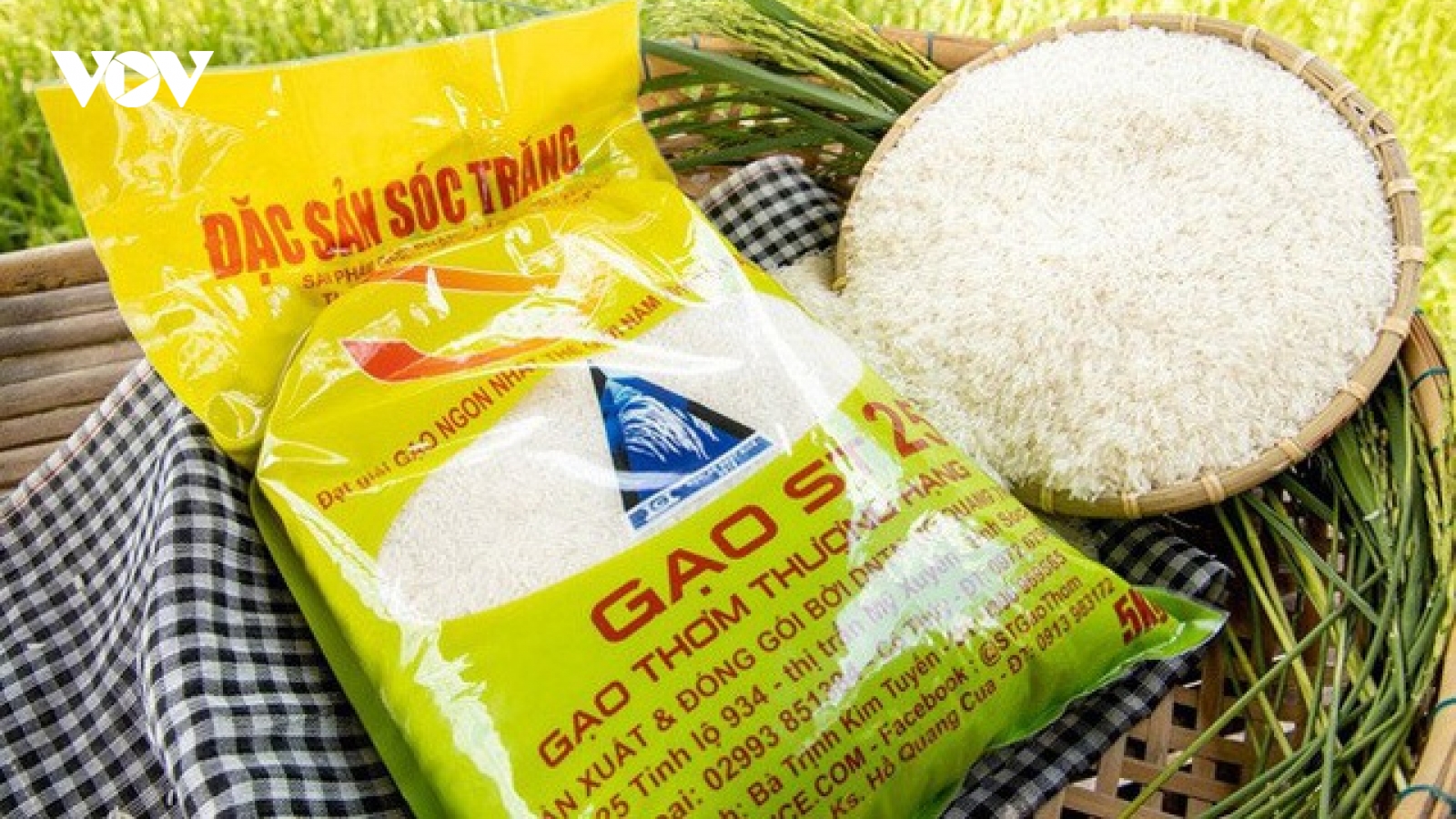 Bộ Nông nghiệp nói gì về cảnh báo mất quyền thi "Gạo ngon nhất thế giới"?