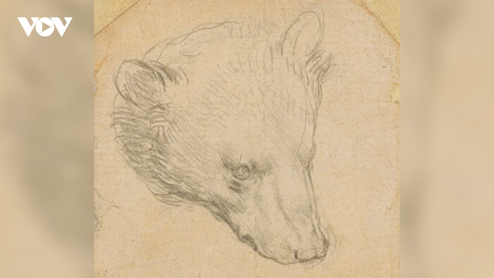 Bức phác họa “Đầu gấu” của Leonardo Da Vinci sắp được rao bán với mức giá kỷ lục