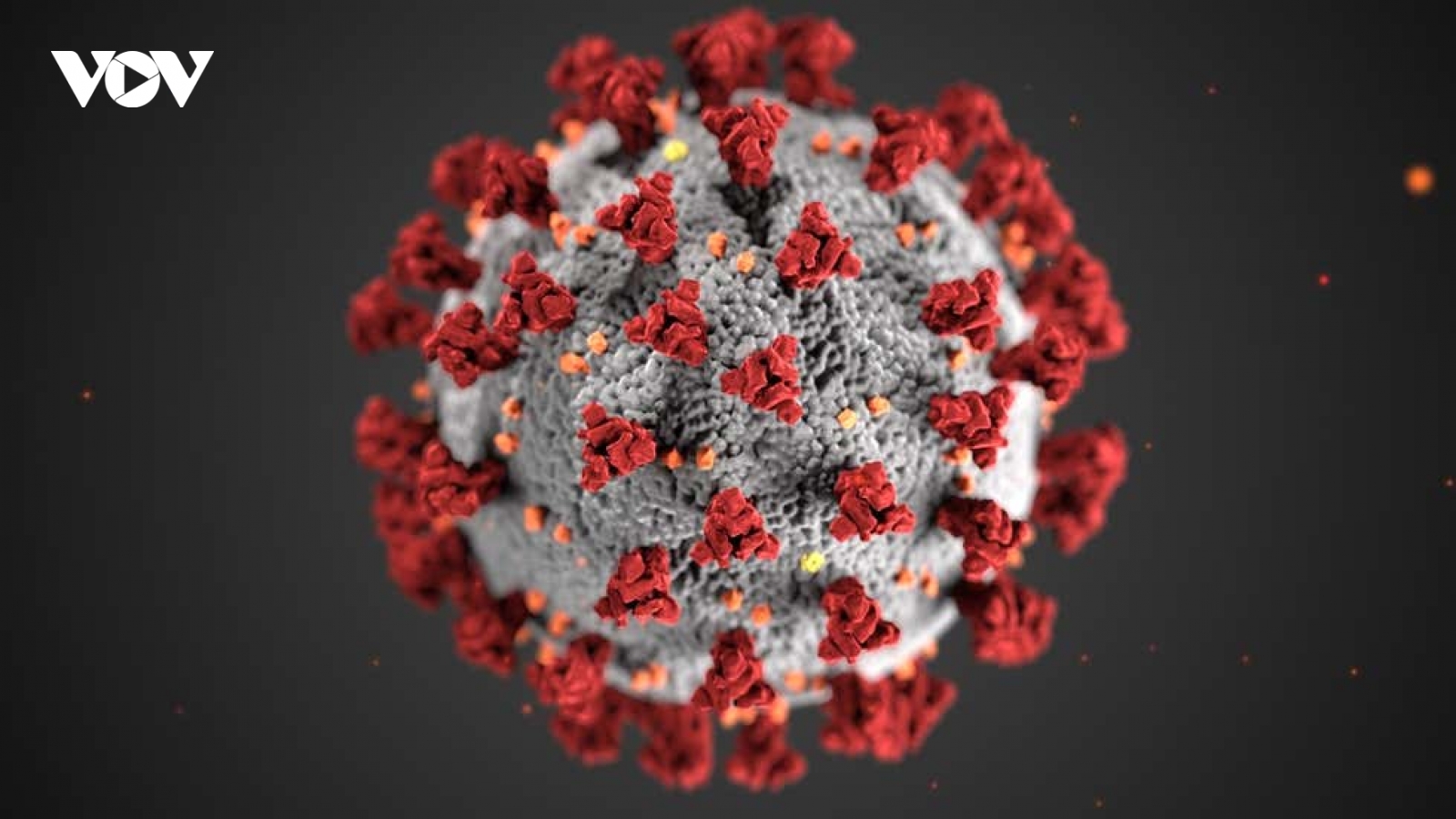 Cảnh giác với biến chủng virus SARS-CoV-2 từ Ấn Độ