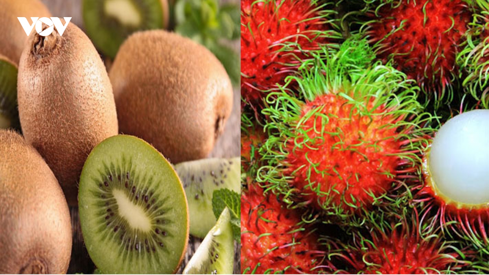 Chôm chôm Việt Nam có cơ hội tiếp cận thị trường Chile