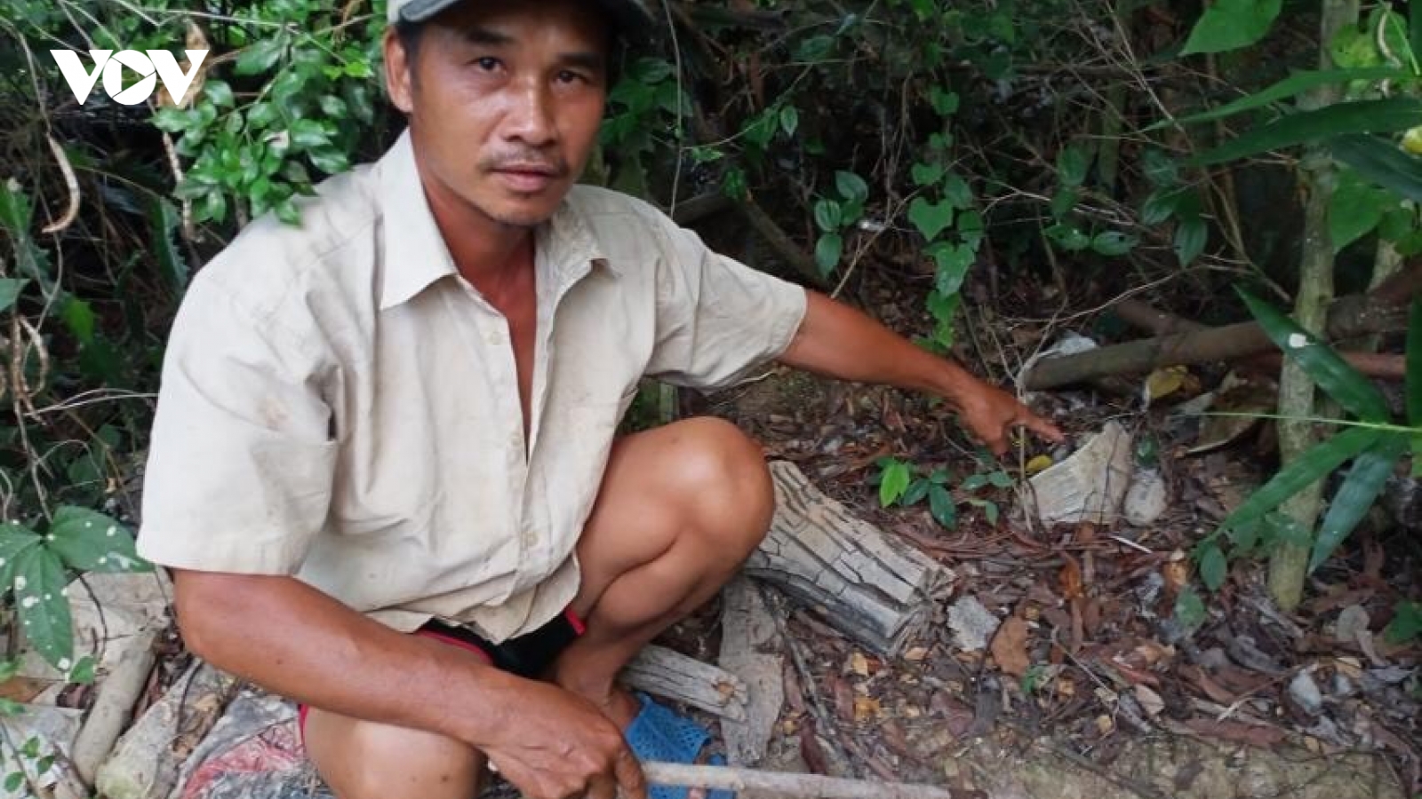 Người dân phát hiện lựu đạn trong vườn, sau nửa tháng chưa được thu gom