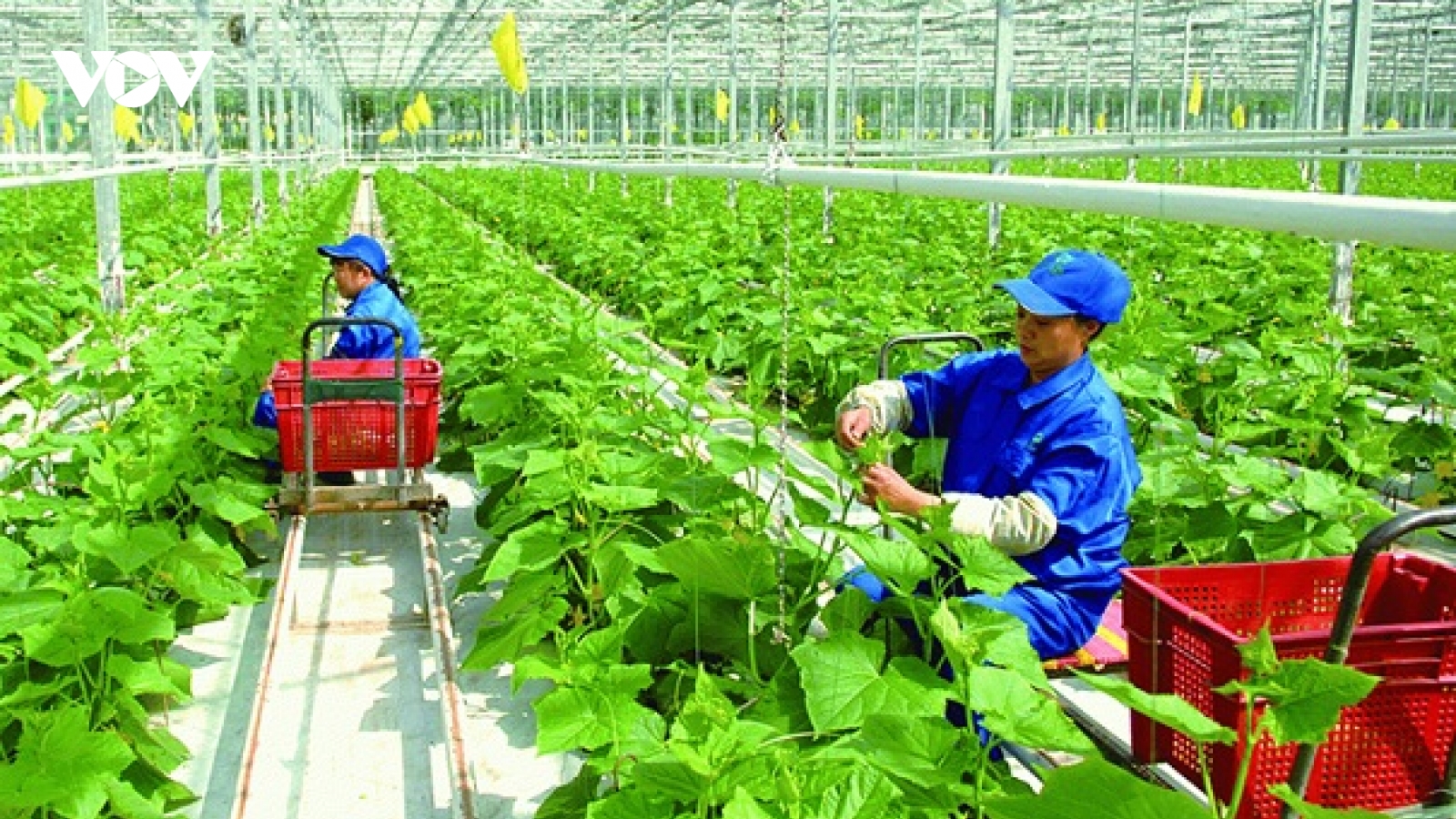 Thủ tướng: Chuyển nông nghiệp sản lượng cao sang nông nghiệp công nghệ cao, sinh thái