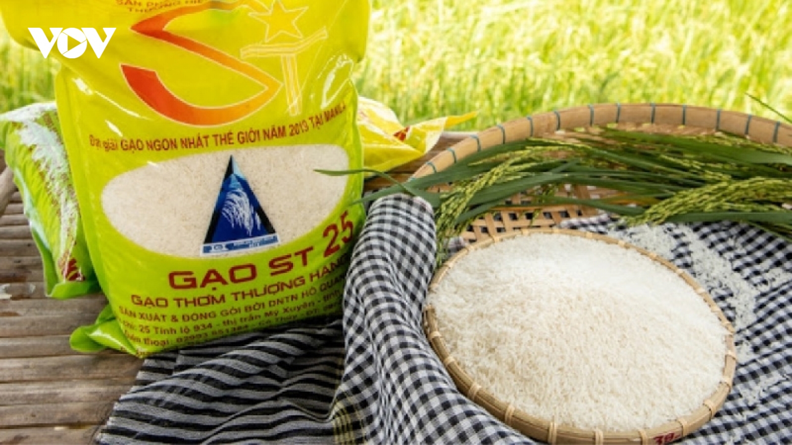 Nguy cơ thương hiệu gạo ST25 bị chiếm đoạt: Đừng chỉ đổ lỗi cho doanh nghiệp