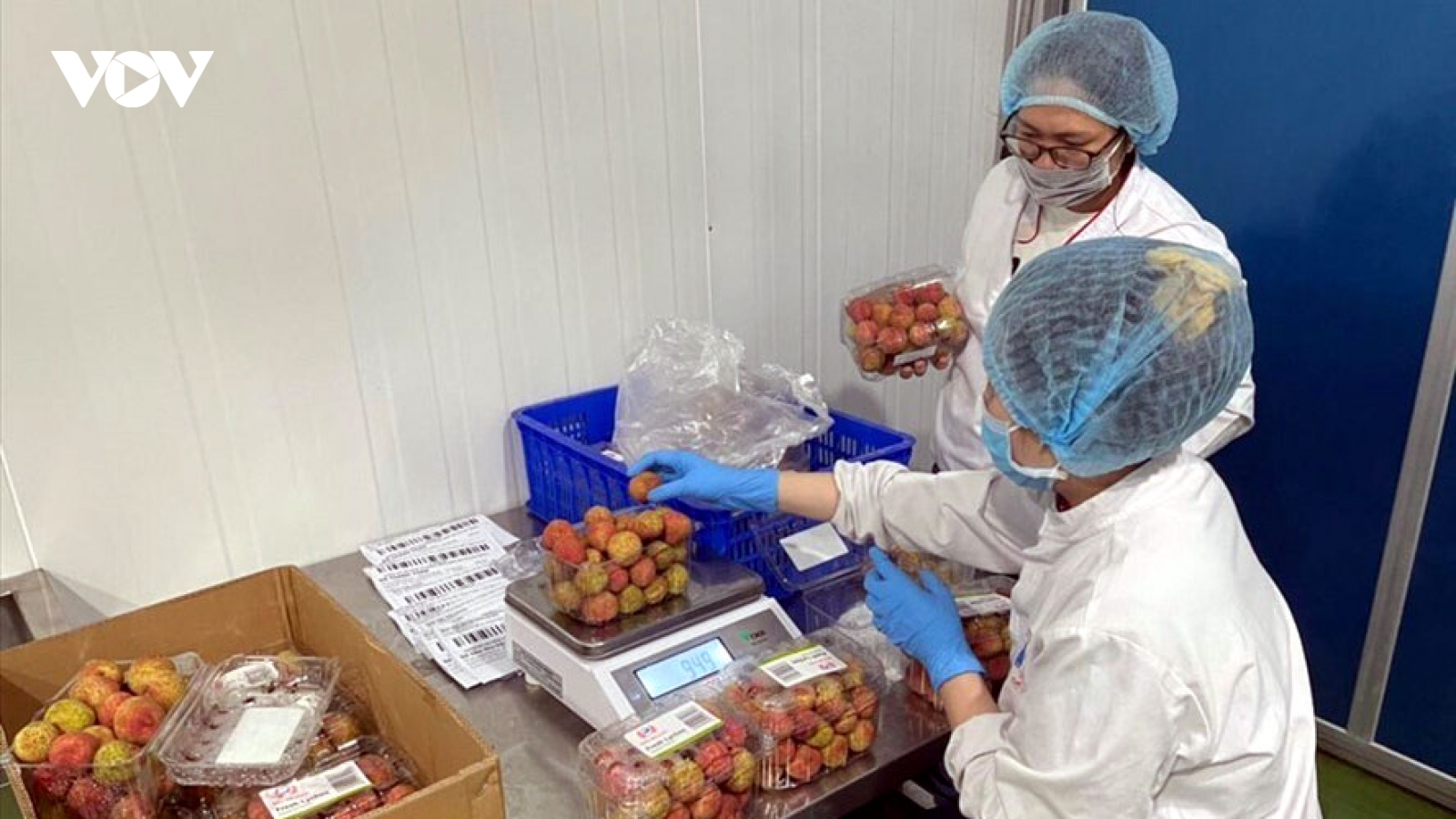 Chống dịch Covid-19: Linh hoạt các phương án tiêu thụ nông sản