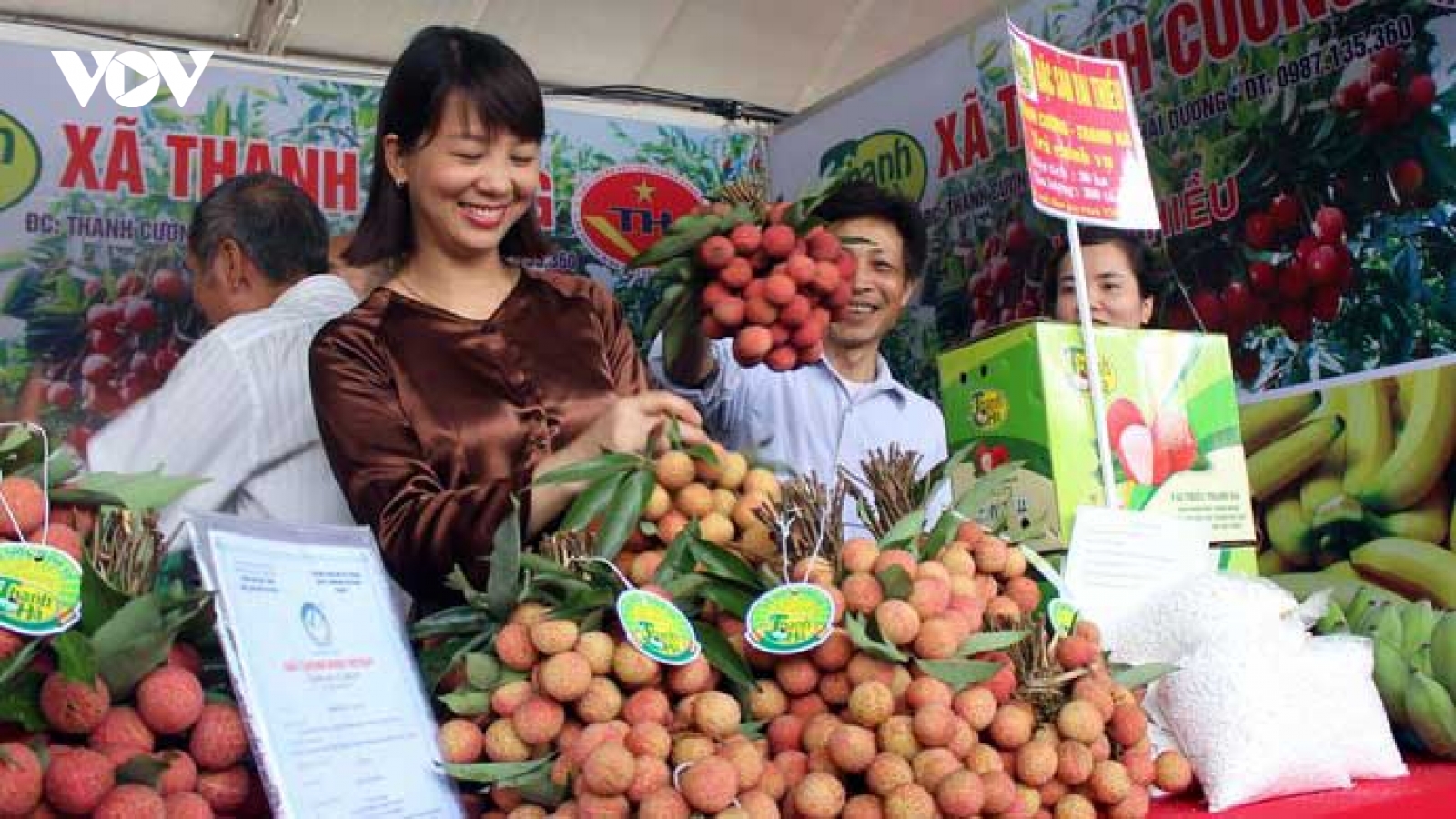 Đa dạng hóa hình thức tiêu thụ vải thiều Thanh Hà