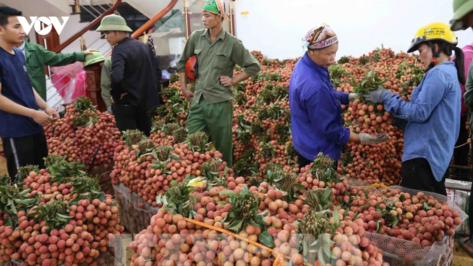 Bộ Công Thương hỏa tốc đề nghị phối hợp xuất khẩu nông sản qua biên giới