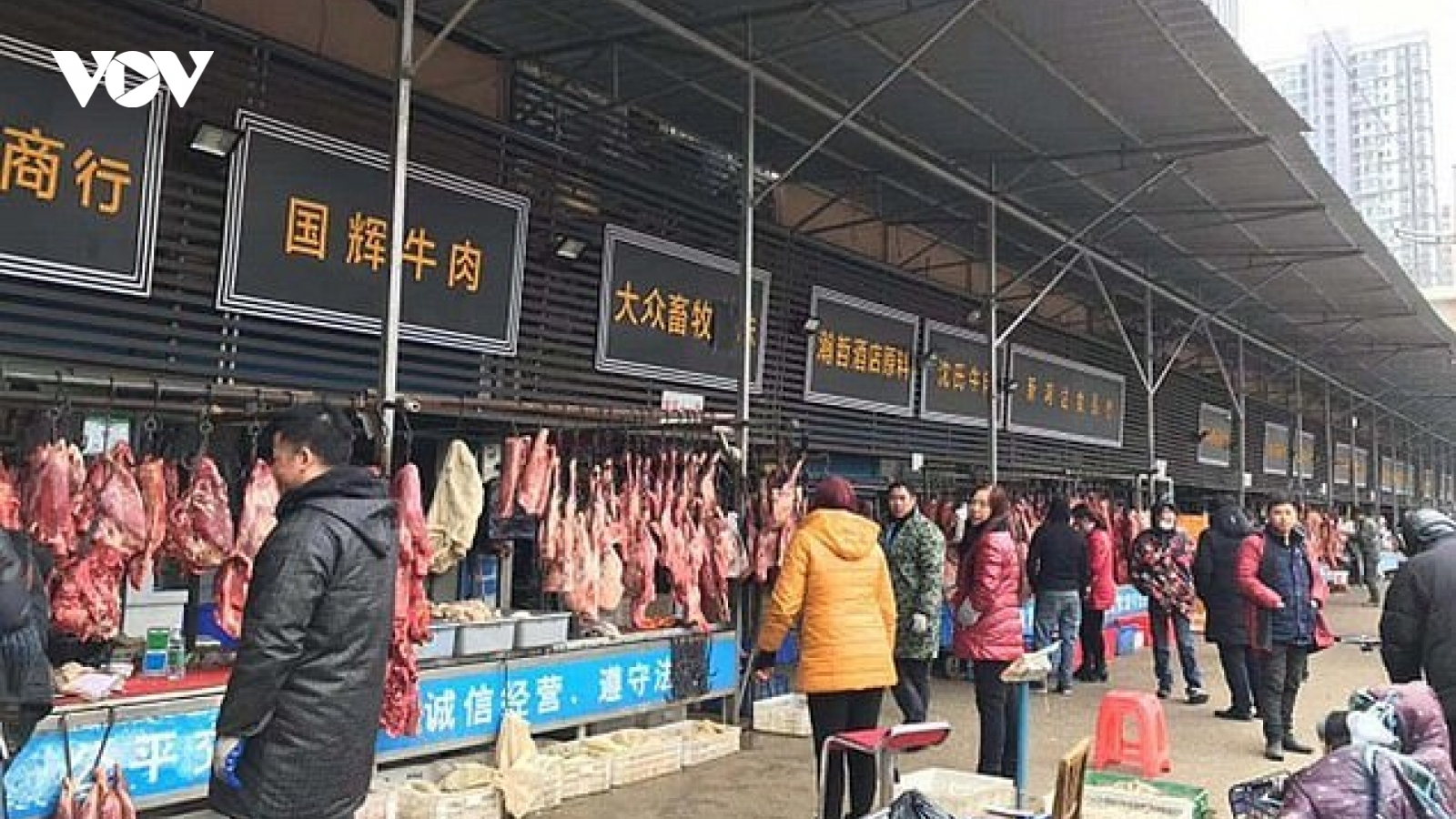 Phát hiện 47.000 động vật hoang dã bán ở chợ Vũ Hán trước khi Covid-19 bùng phát