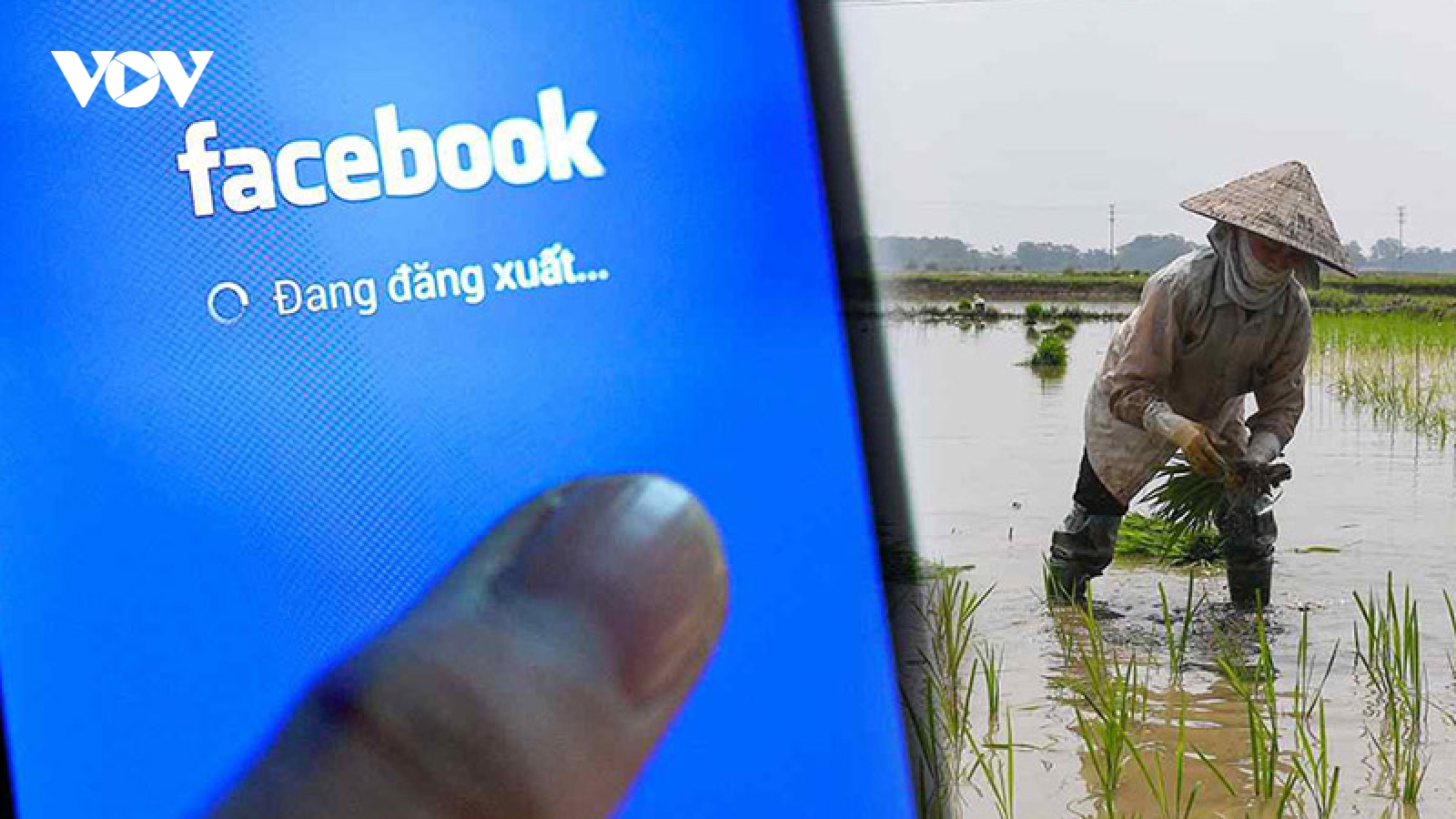 Facebook tìm cơ hội tăng trưởng ở nông thôn Việt Nam