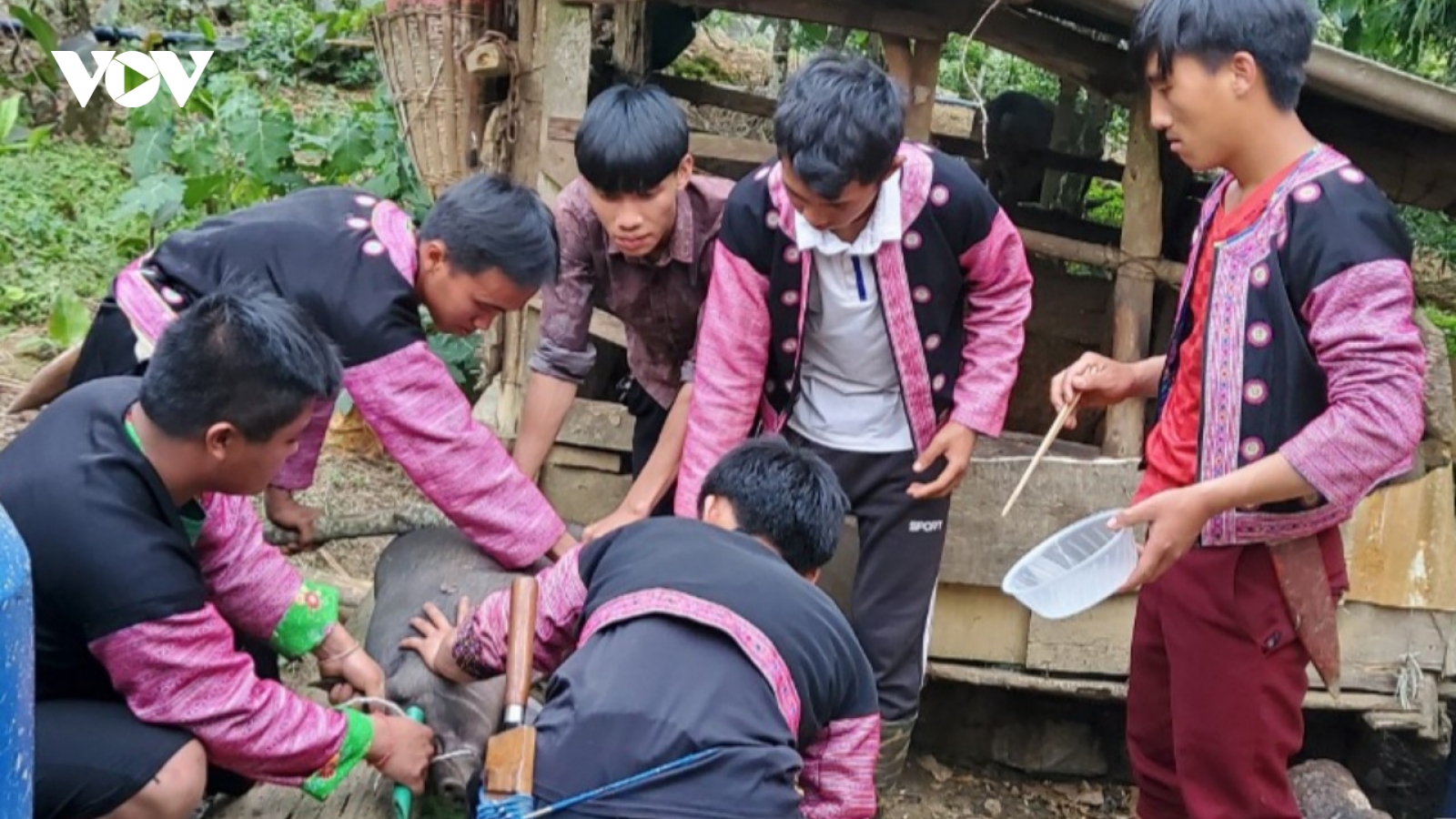 Khóc cha - khóc nợ
