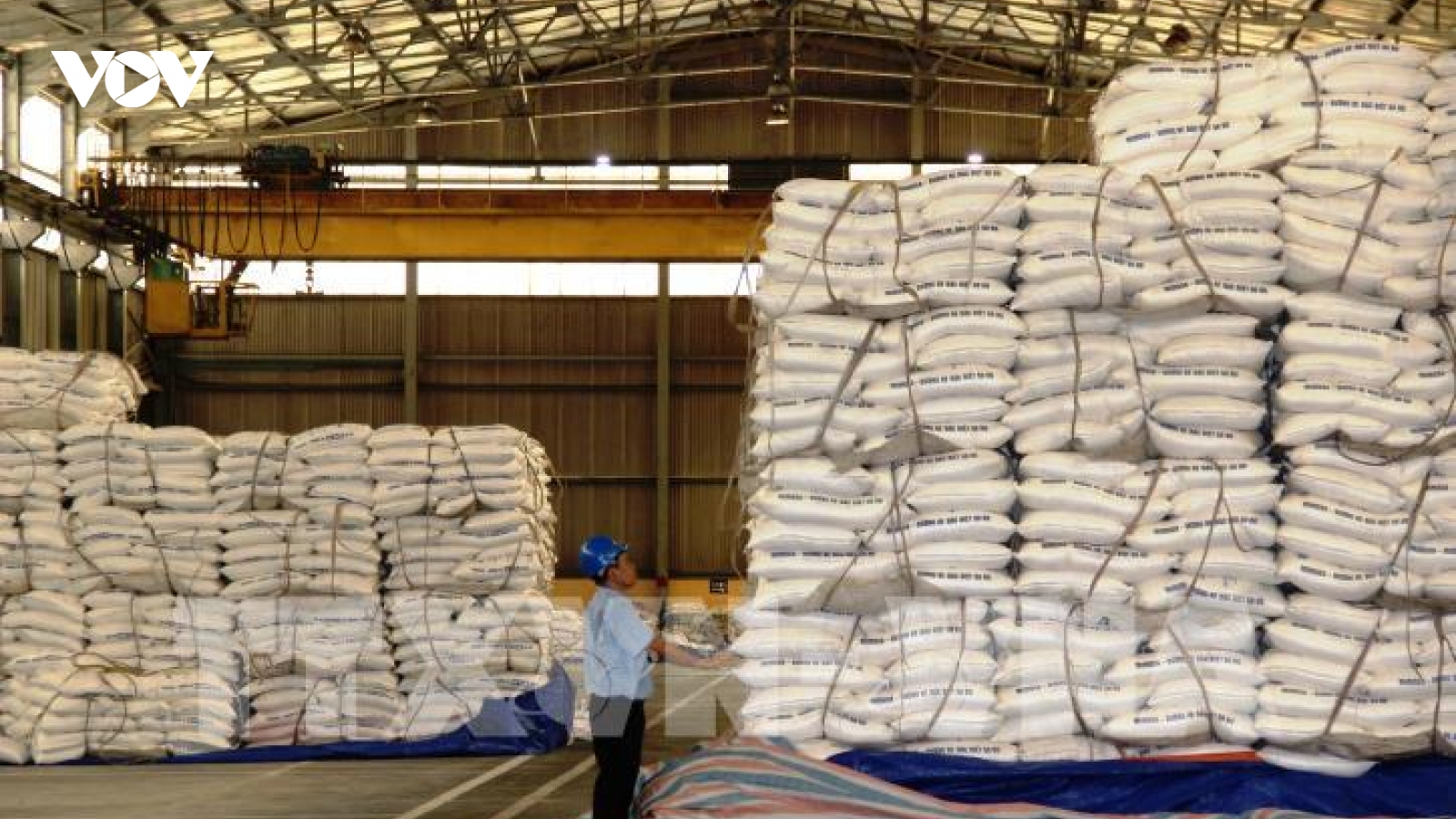 Lượng hạn ngạch thuế quan nhập khẩu đường đấu giá thí điểm năm 2021 là 108.000 tấn