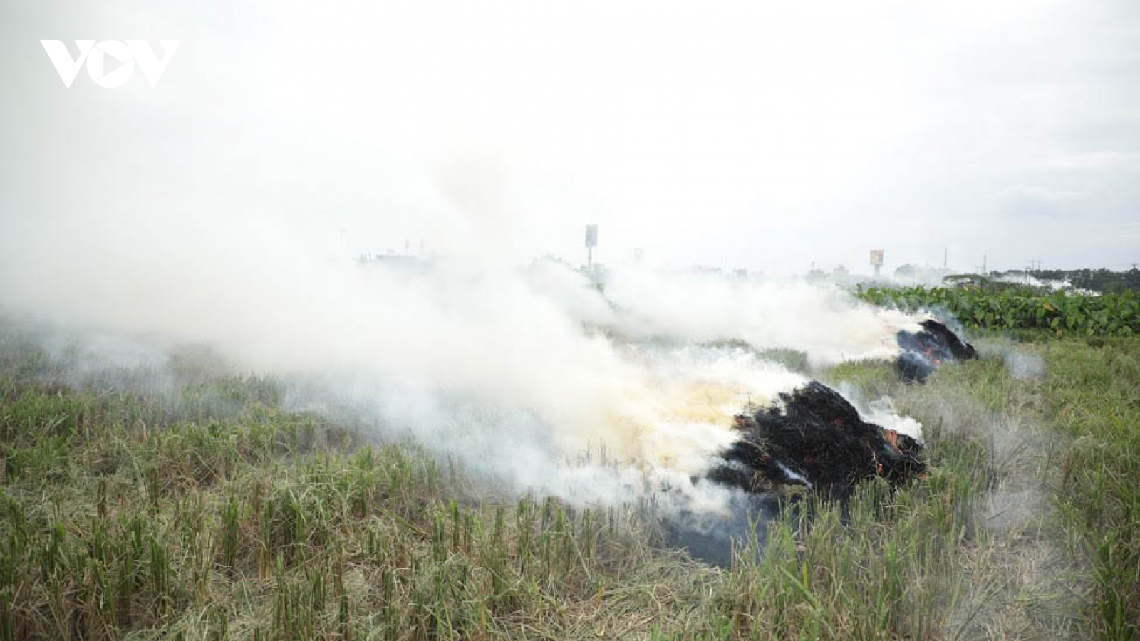 Bộ TN&MT yêu cầu tăng cường kiểm tra, xử lý nghiêm việc đốt rơm rạ gây ô nhiễm