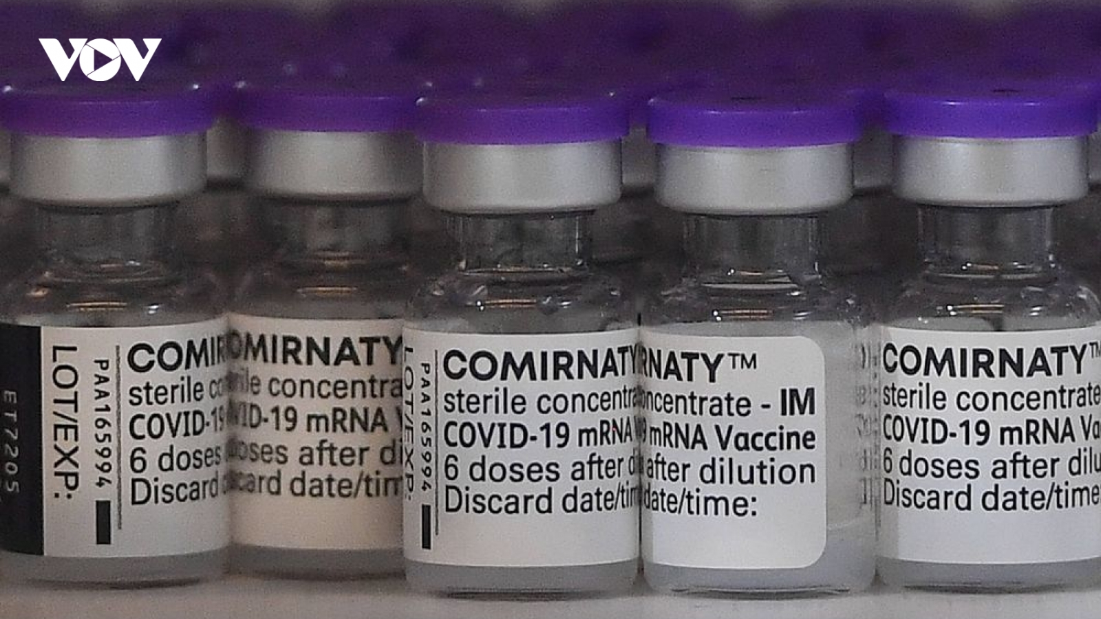 Pfizer ngừng vận chuyển bổ sung 1 triệu liều vaccine mỗi tuần tới Ba Lan