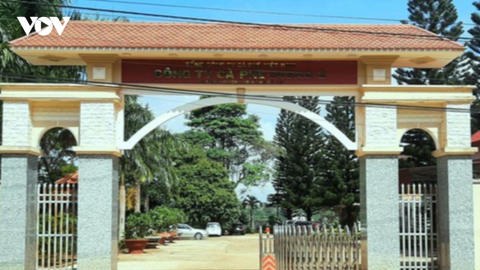 Giám đốc công ty cà phê để ngoài sổ sách kế toán gần 2 tỷ đồng