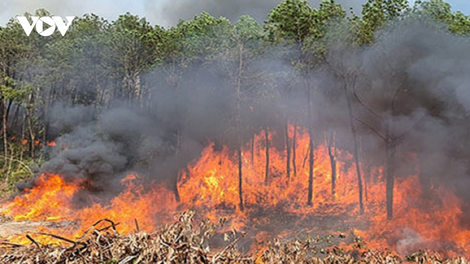 Cháy lớn, lửa bốc cao trên đồi Eo Gió (Thừa Thiên Huế)