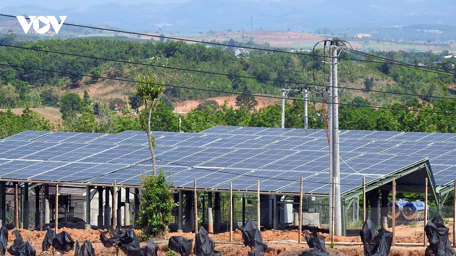 Kiểm tra, xử lý nghiêm các dự án điện mặt trời có vi phạm