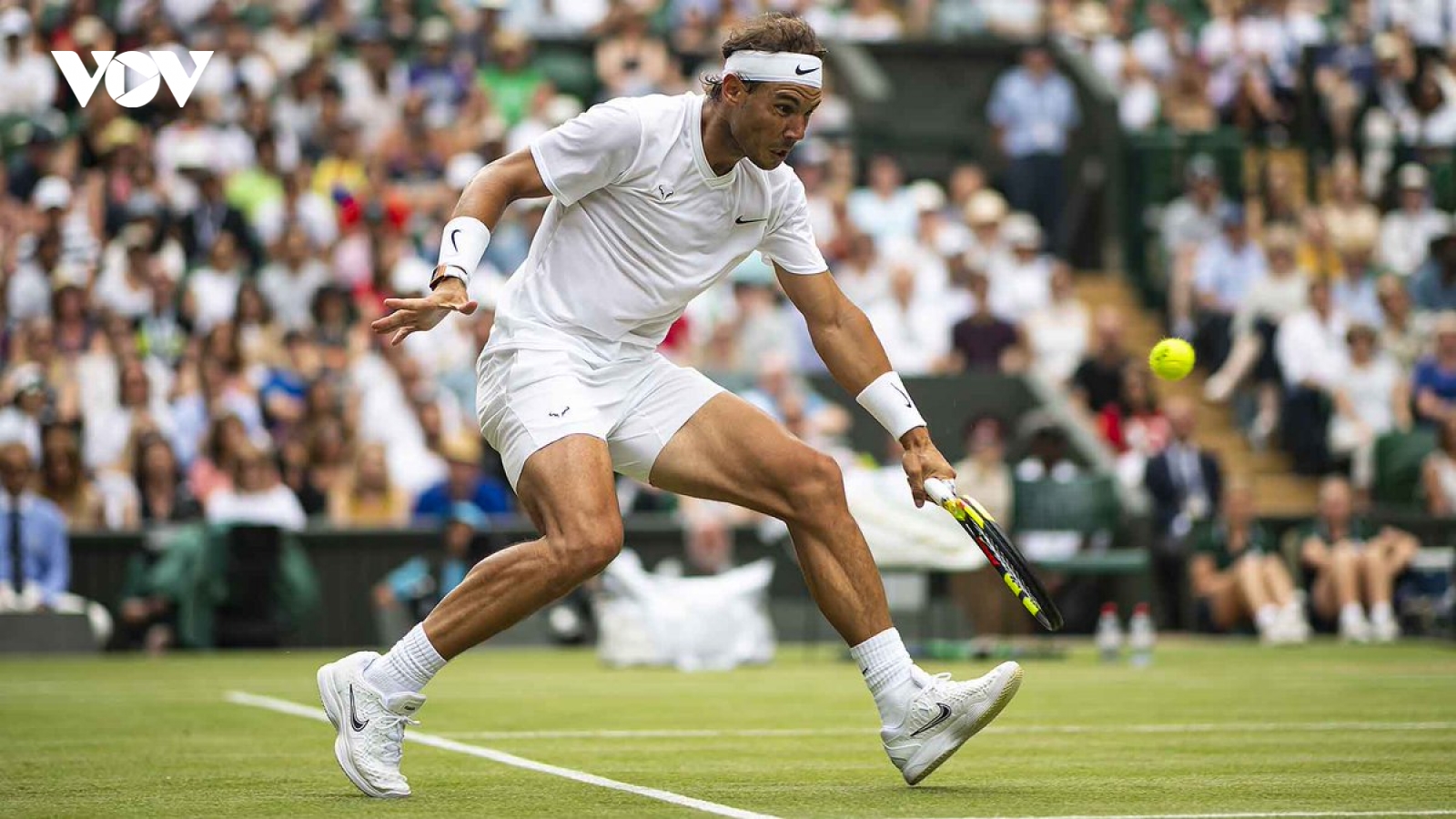 Nadal rút lui khỏi Wimbledon và Olympic Tokyo