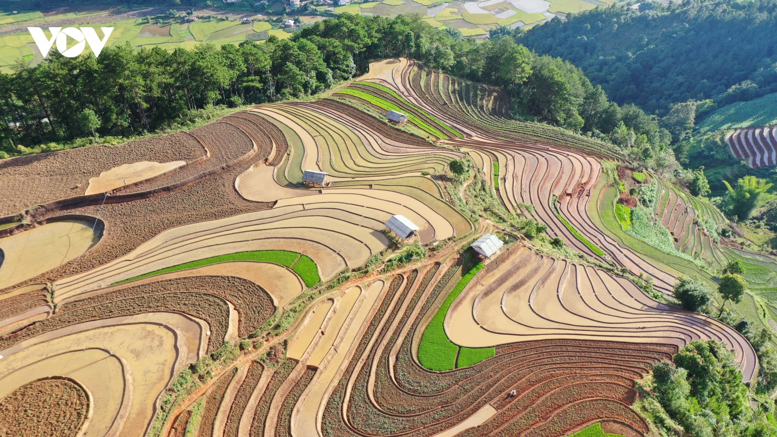 Lung linh ruộng bậc thang Mù Cang Chải mùa nước đổ