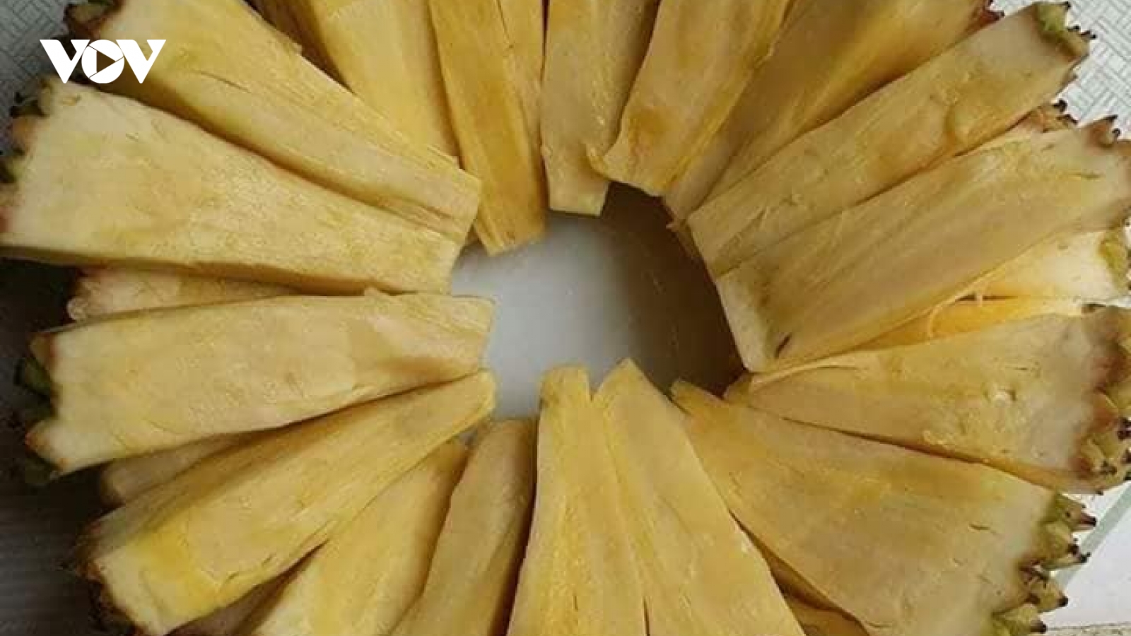 Loại mít đặc biệt không có hạt, vị như sữa chua, giá tiền triệu