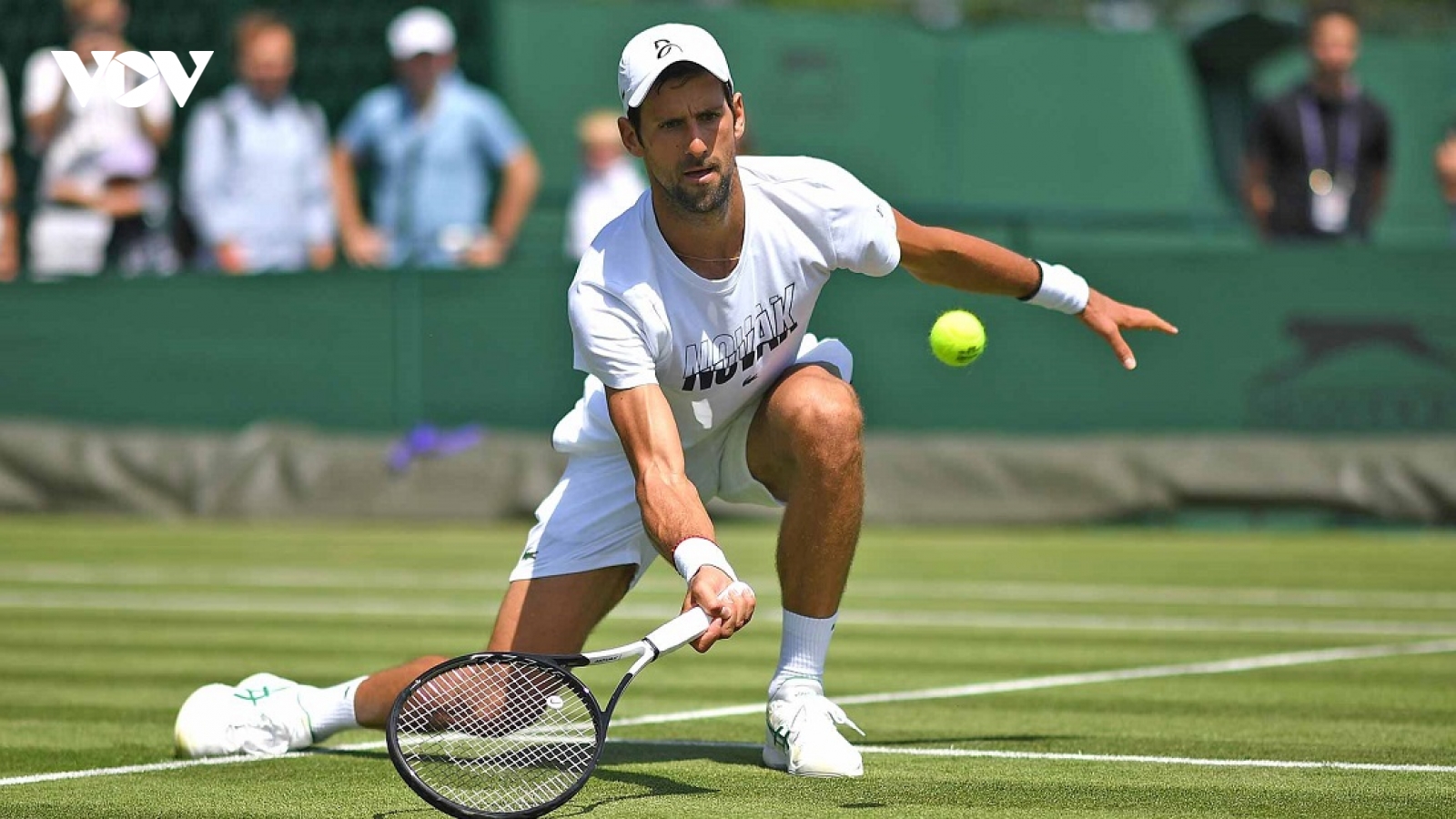 Khởi tranh Wimbledon 2021: Djokovic là ứng viên vô địch hàng đầu