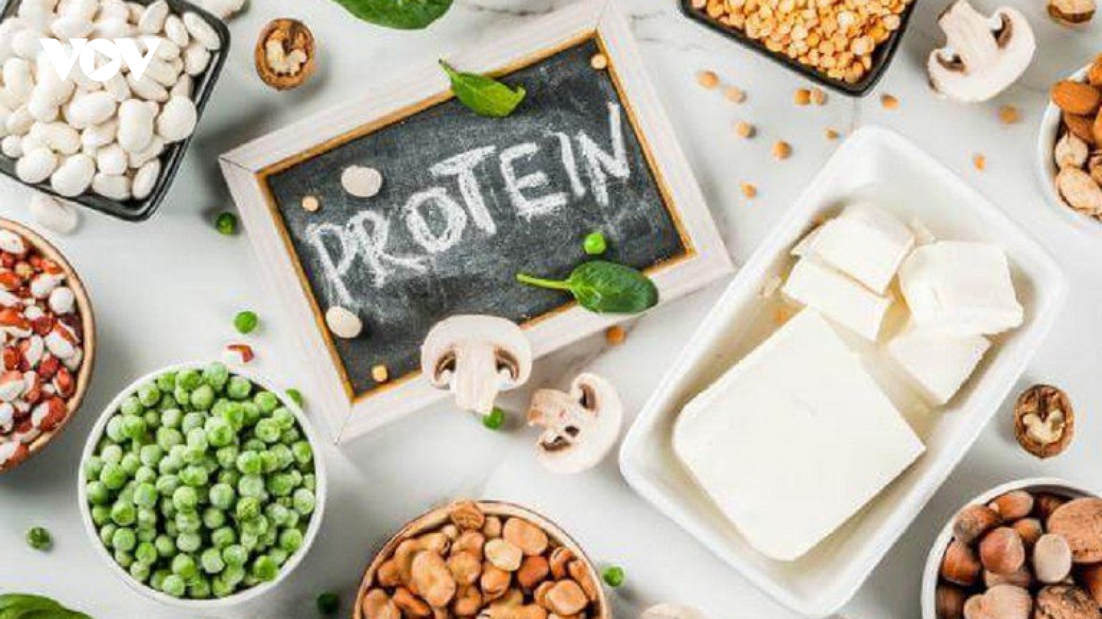Sử dụng protein từ thực vật có thể giúp kéo dài tuổi thọ