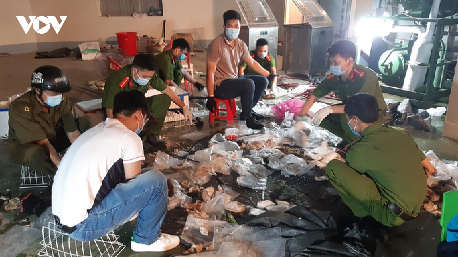 Giấu ma túy vào nội tạng lợn và mô tơ điện để đem sang Trung Quốc