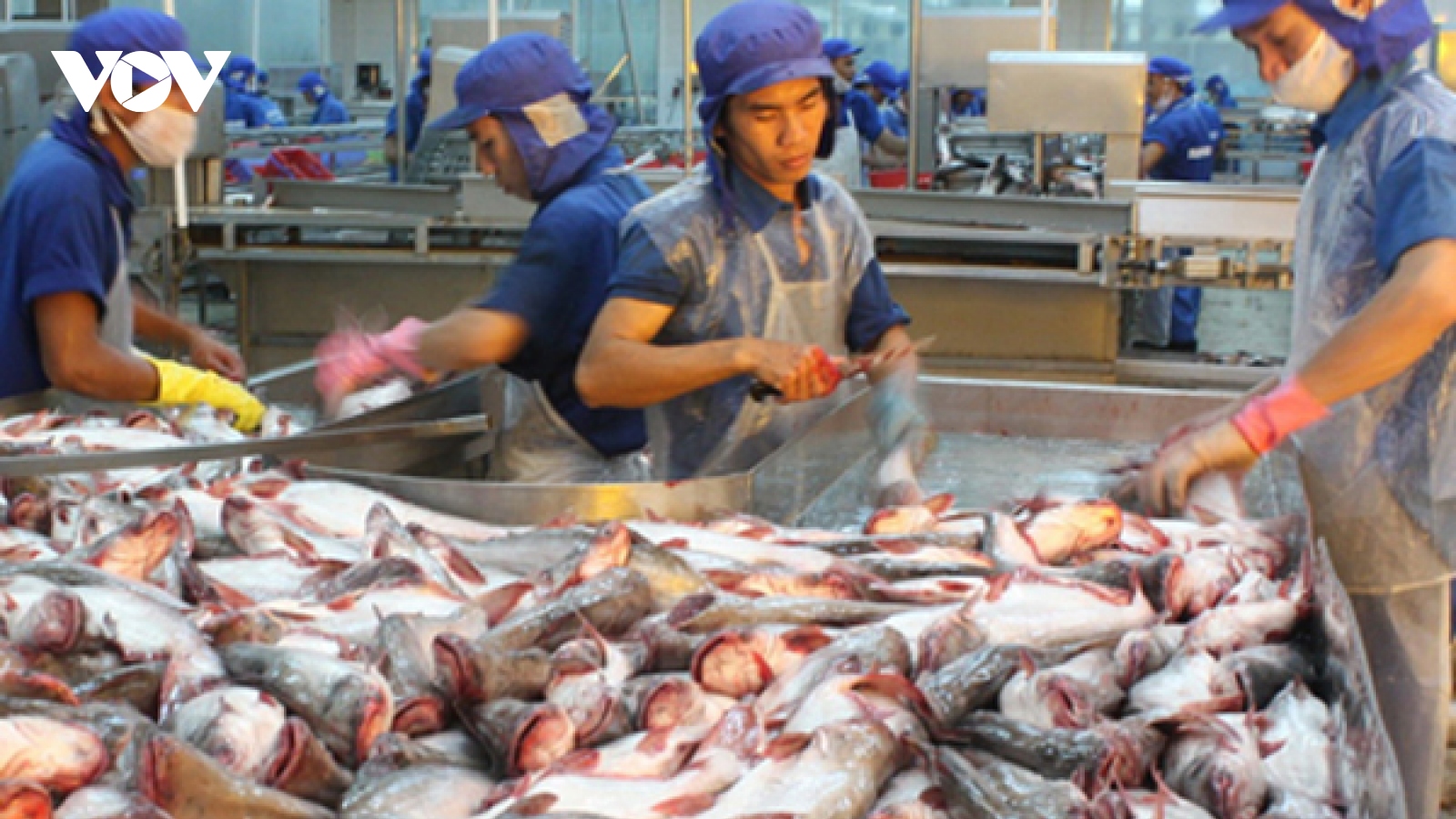 Xuất khẩu hải sản của Việt Nam tăng 26% trong tháng 5/2021