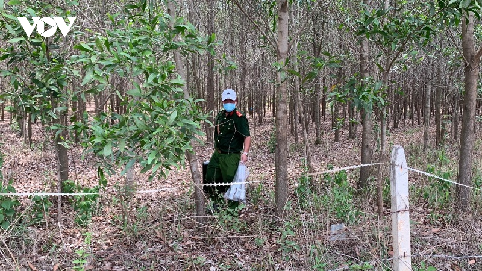 Phát hiện thi thể tại khu rừng tràm ở Bình Thuận