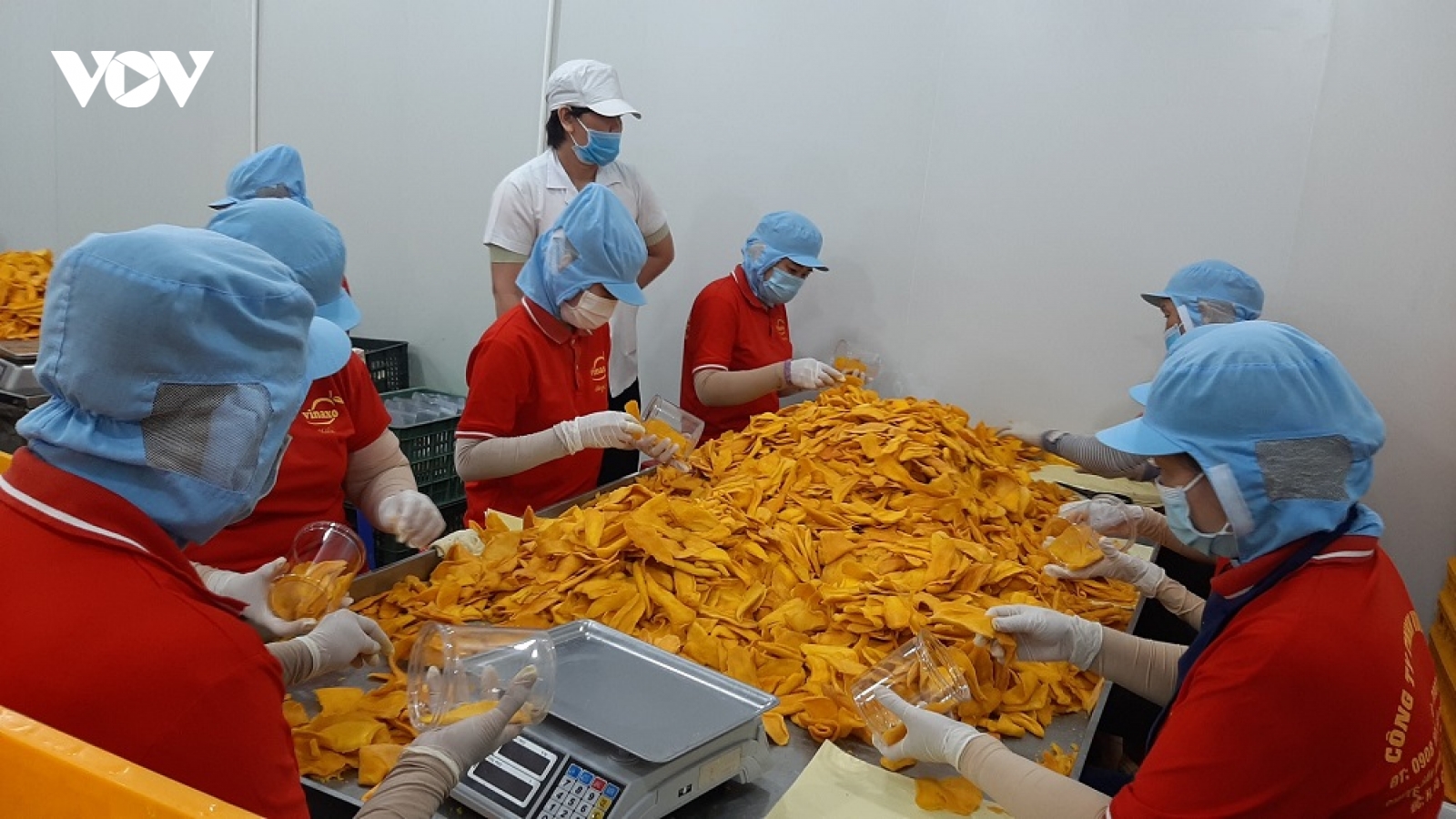 Các doanh nghiệp ở Tiền Giang “gồng mình” phòng, chống đại dịch