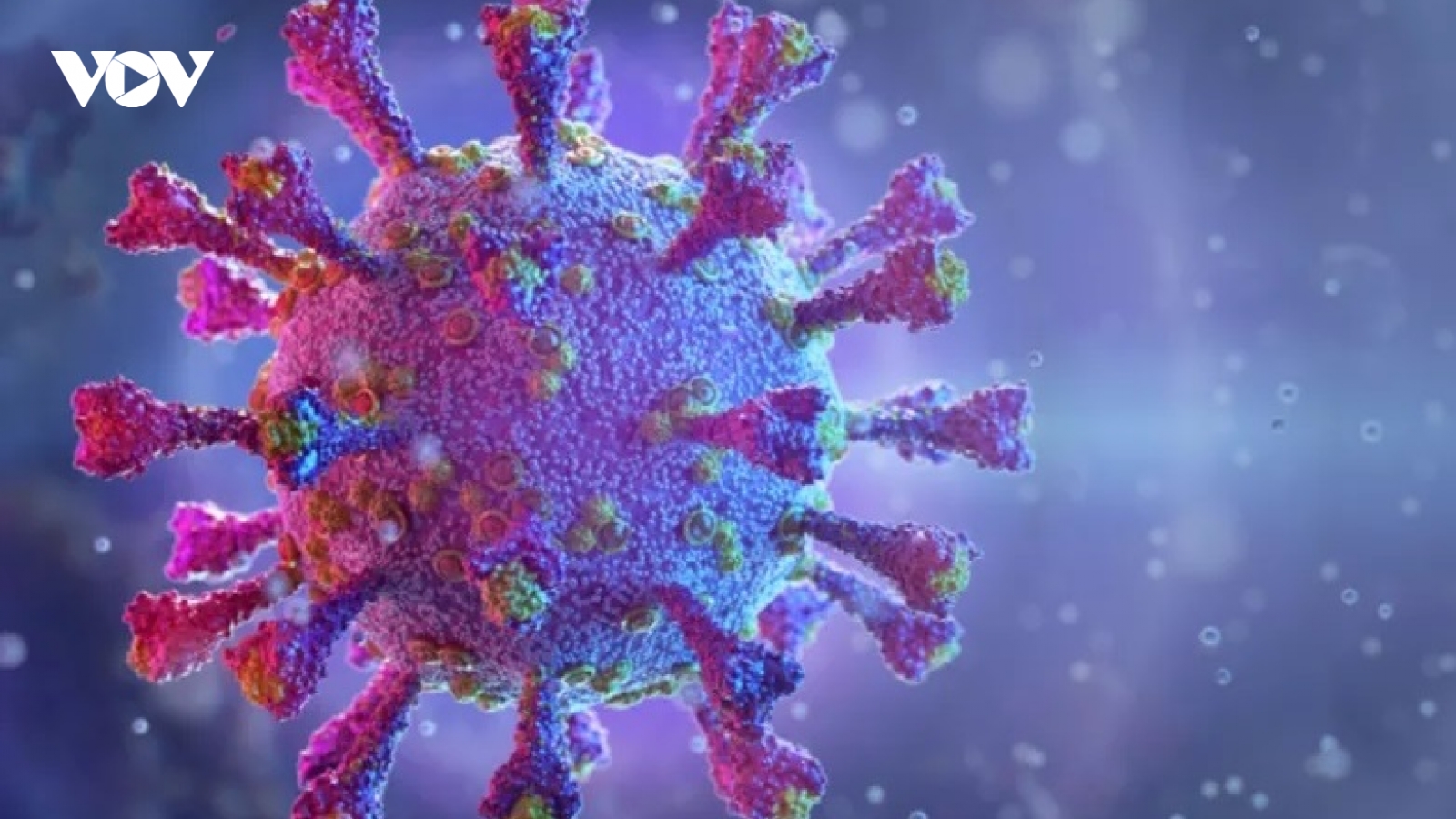 G7 sẽ ra tuyên bố kêu gọi điều tra nguồn gốc virus SARS-CoV-2