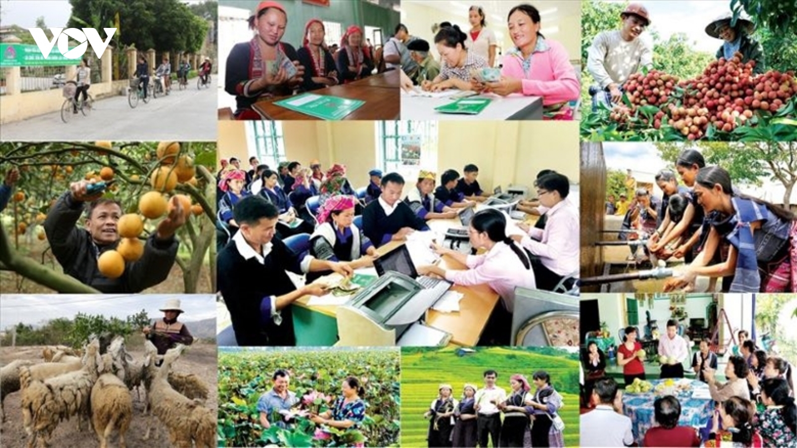 Chỉ thị của Ban Bí thư về tăng cường lãnh đạo công tác giảm nghèo bền vững