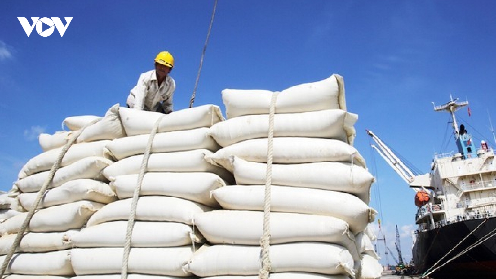 Nhập gạo Ấn Độ tăng đột biến, hoả tốc lập đoàn kiểm tra 5 doanh nghiệp