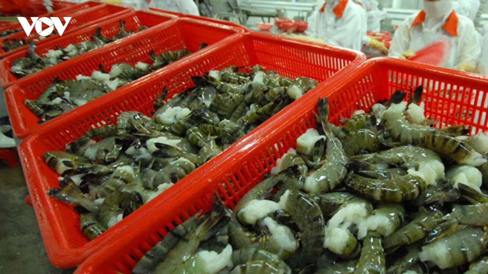Xuất khẩu thuỷ sản 5 tháng đầu năm tăng 14%