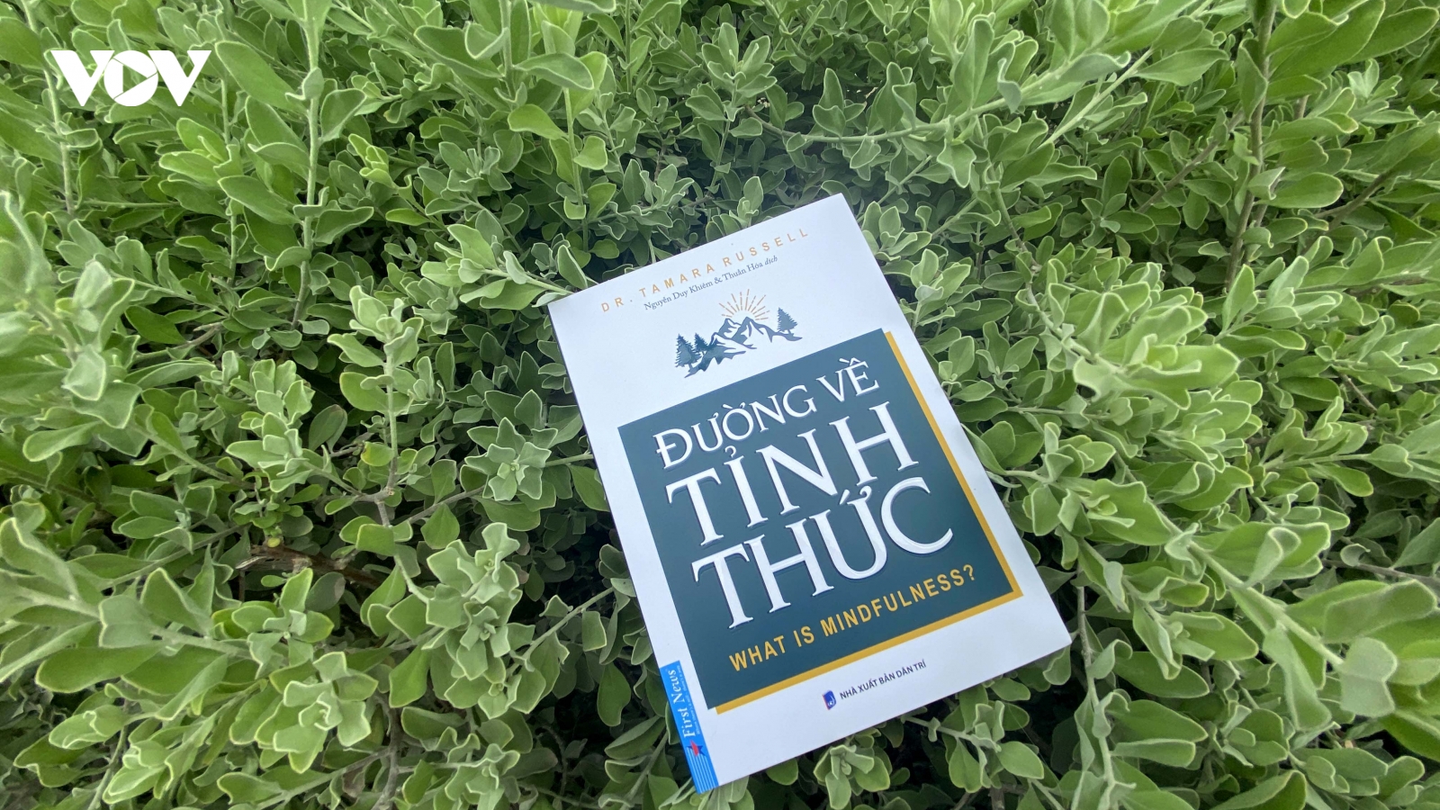 Sách mới "Đường về tỉnh thức" giúp bạn sức mạnh nội tại vượt khó khăn