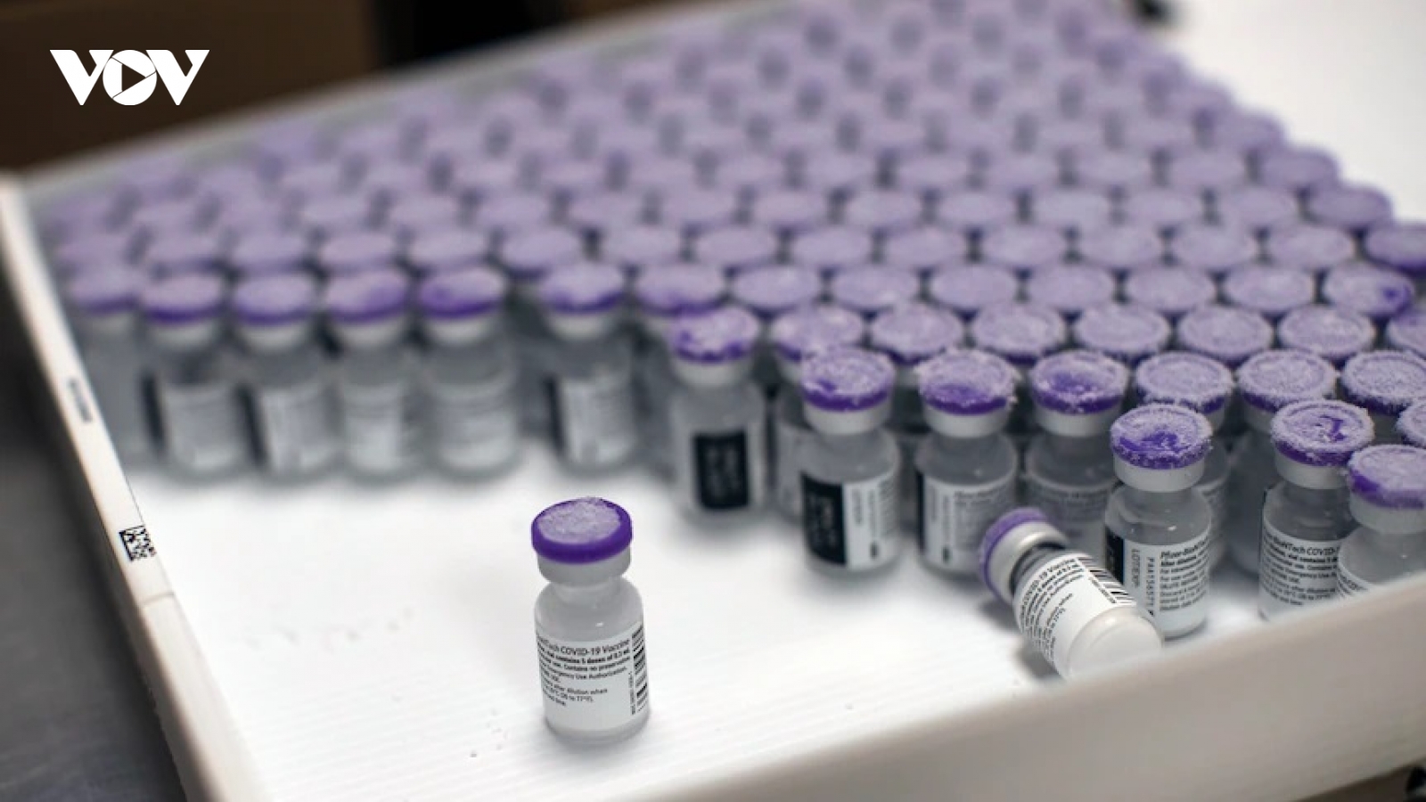 Australia đặt mua thêm 85 triệu liều vaccine Pfizer