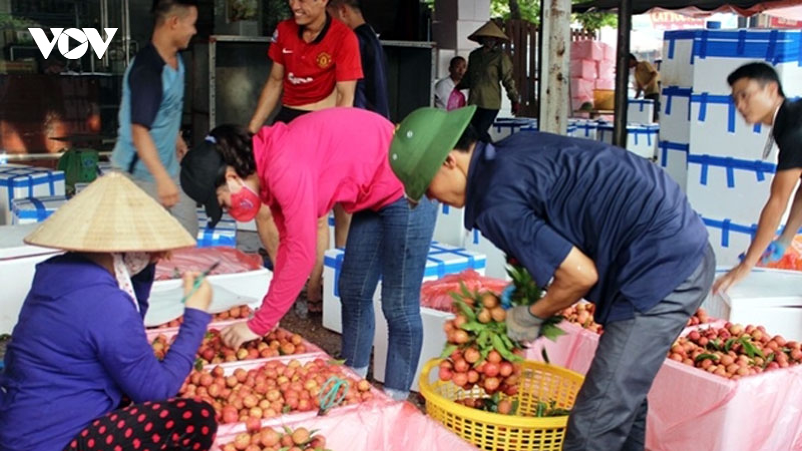 Chinh phục thị trường Bắc Âu bằng giao thương trực tuyến