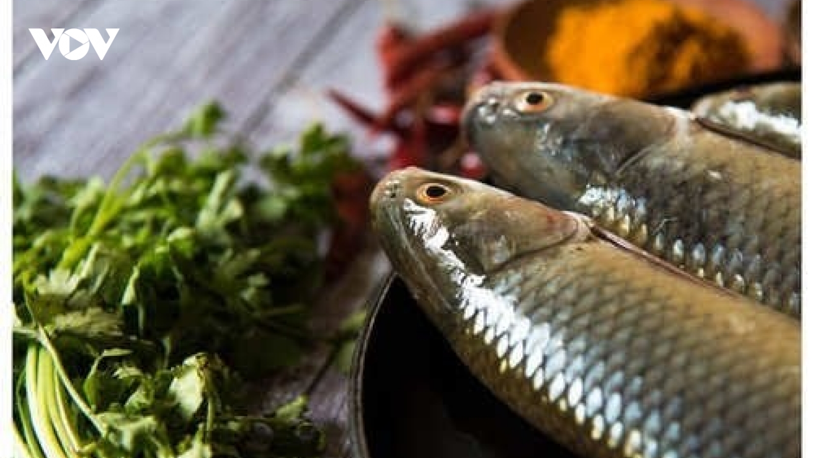 5 mẹo lựa chọn cá tươi ngon