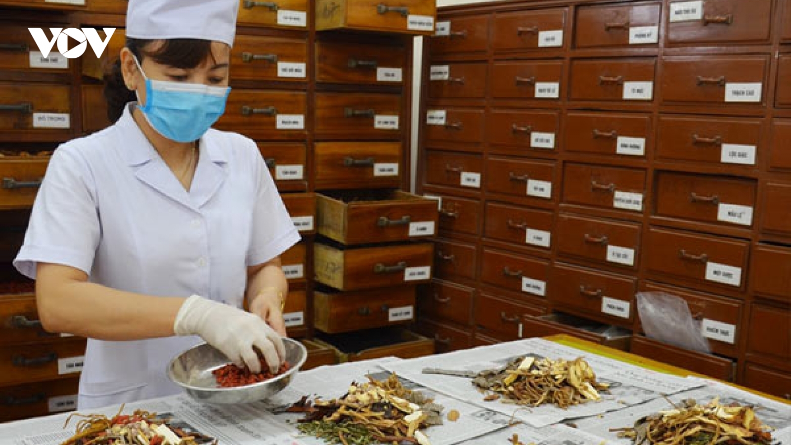 Bộ Y tế thu hồi văn bản danh mục 12 loại thuốc cổ truyền hỗ trợ điều trị COVID-19