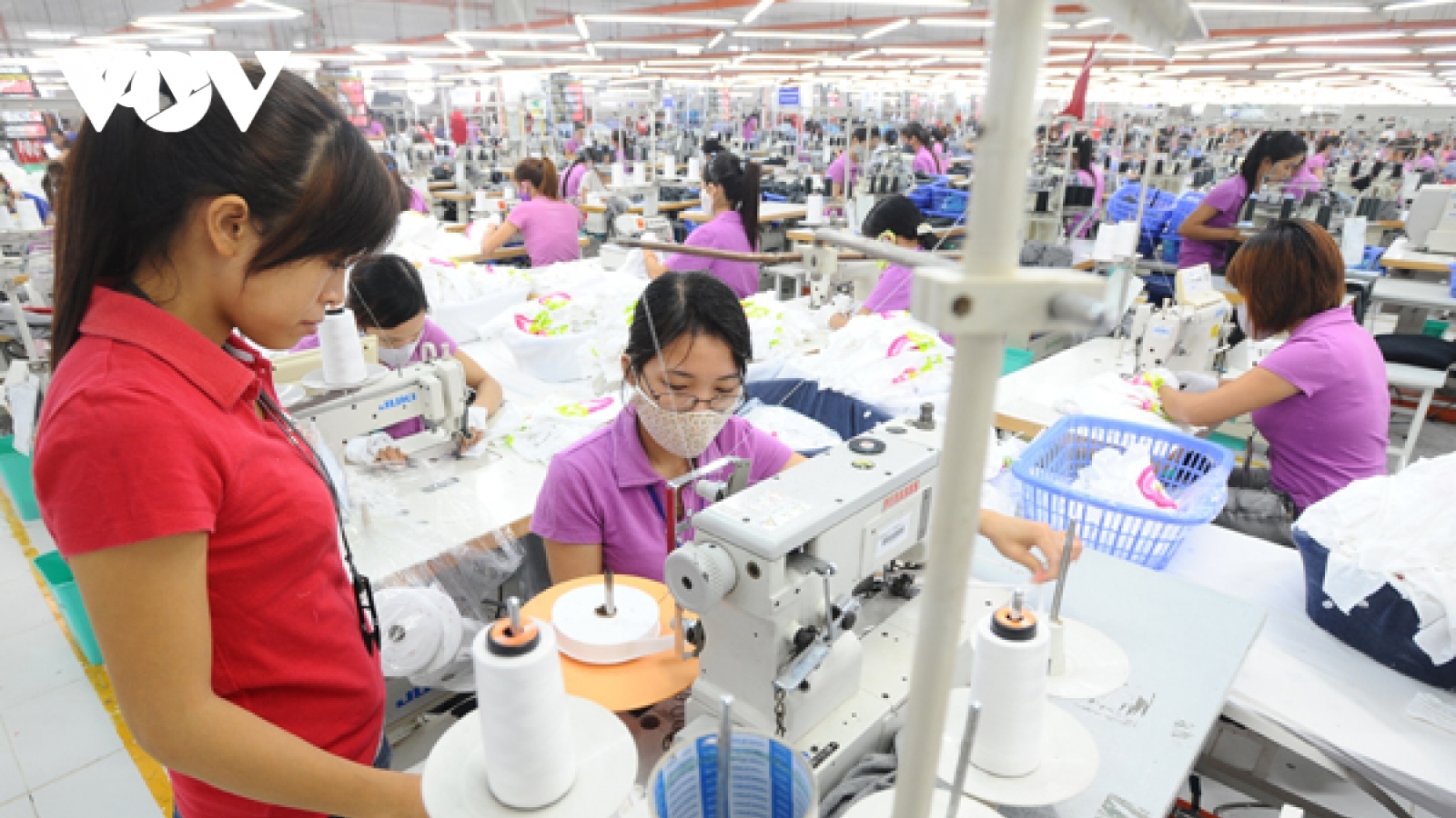 Đẩy nhanh tiến độ hoàn thành hỗ trợ người lao động từ quỹ bảo hiểm thất nghiệp