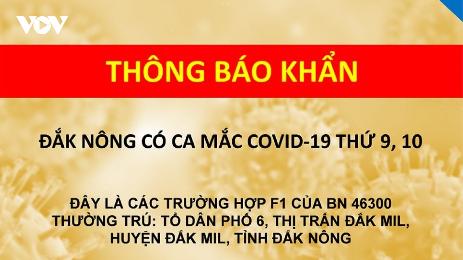 2 F1 của bệnh nhân 46300 tại Đắk Nông dương tính với SARS-CoV-2