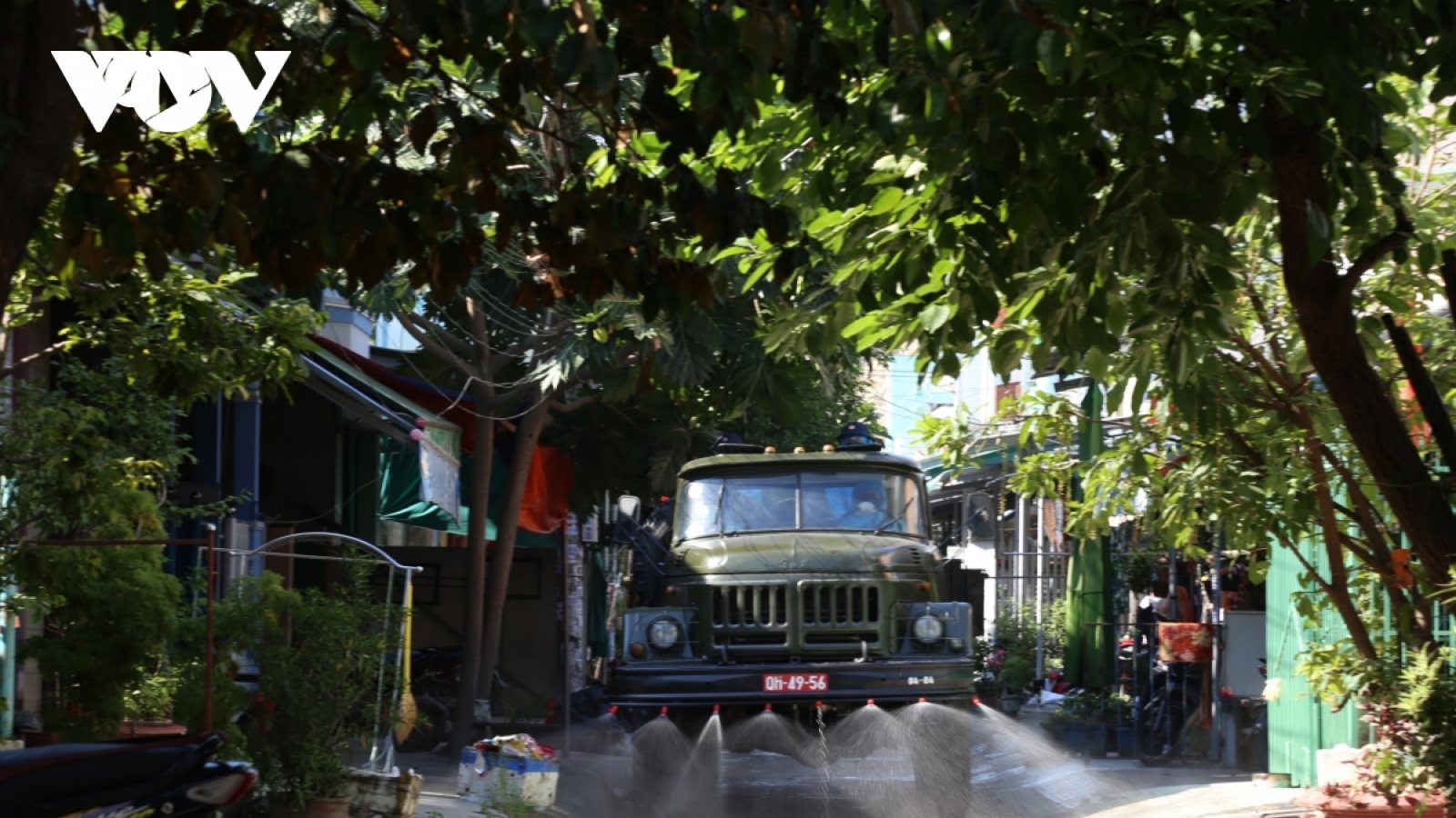 “Khoanh vùng nhỏ và chặt giúp hạn chế thiệt hại kinh tế”