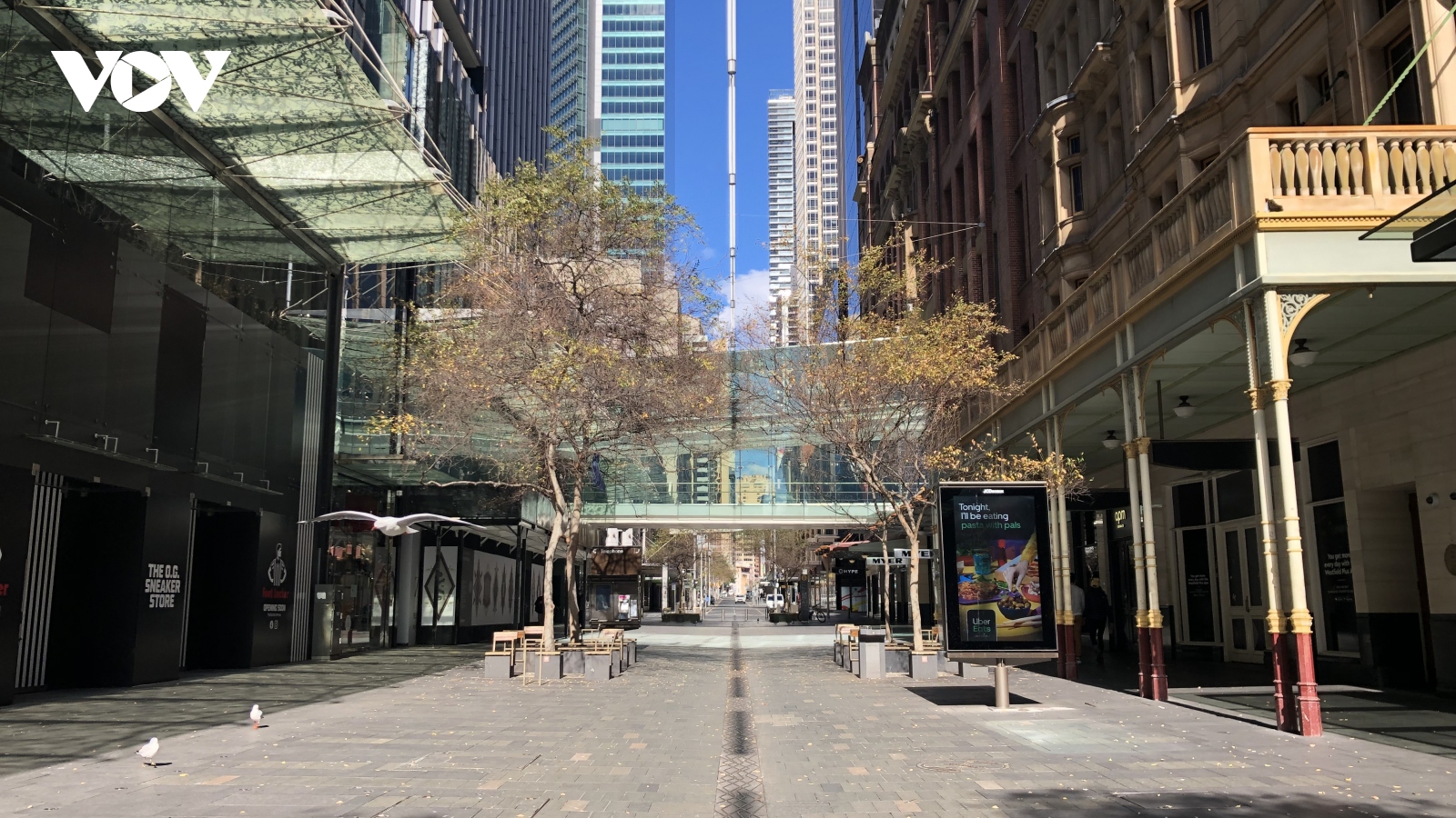 Australia xuất vaccine từ kho dự trữ giúp bang New South Wales đối phó với Covid-19