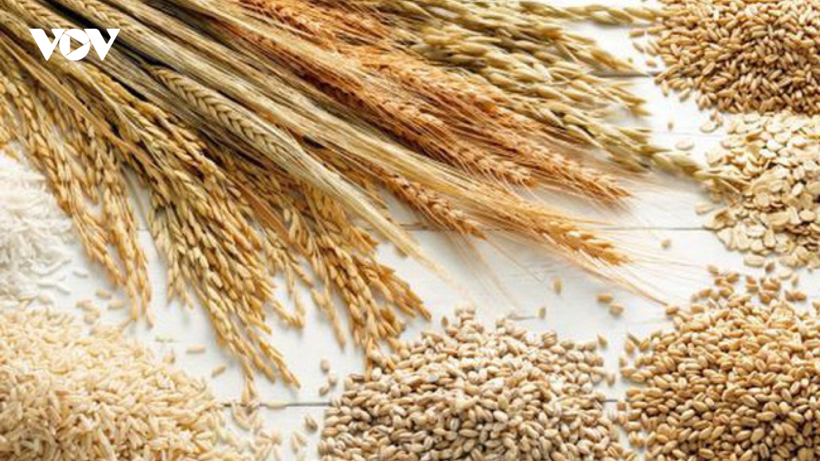 FAO: Giá lương thực thế giới giảm lần đầu tiên trong năm nay
