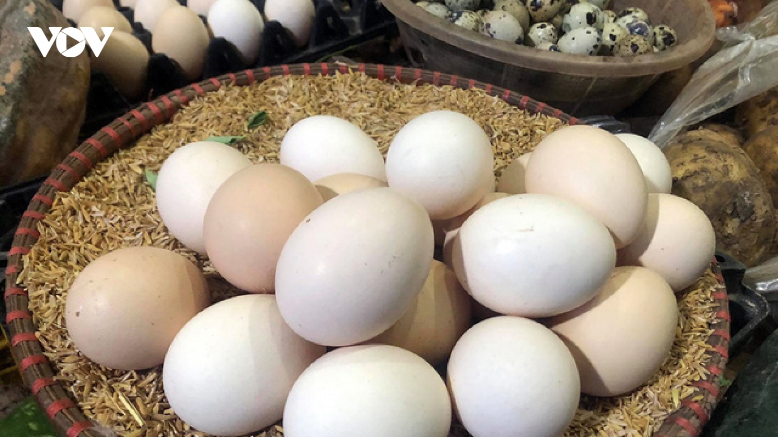 Vì sao giá trứng gà, vịt tăng tới 6.000 đồng/quả?