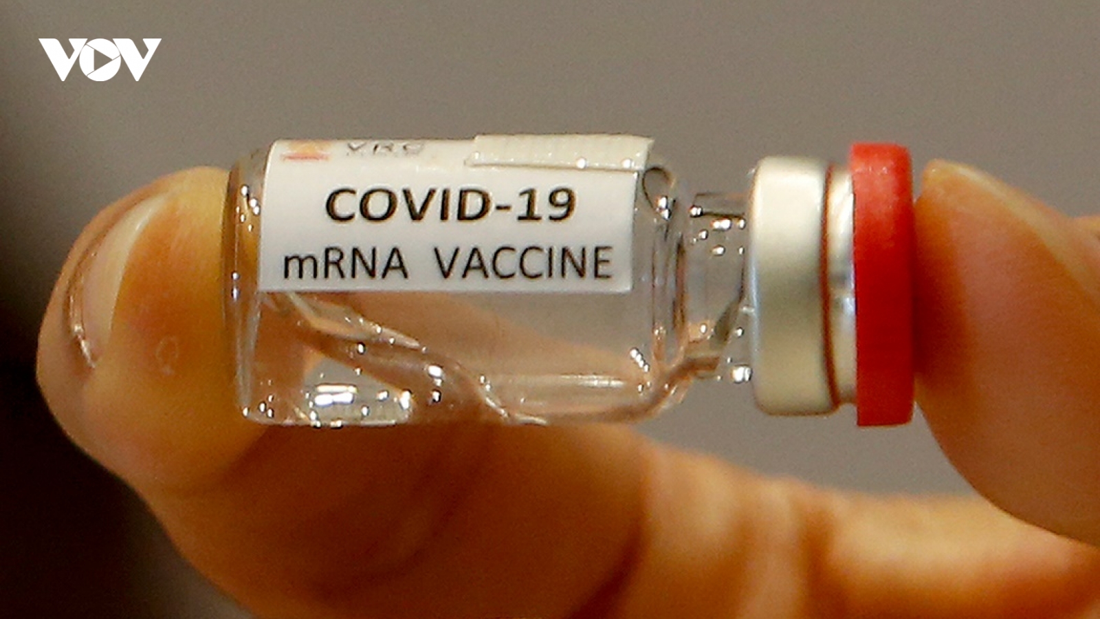 Tổng giám đốc WHO ủng hộ miễn trừ quyền sở hữu trí tuệ vaccine Covid-19