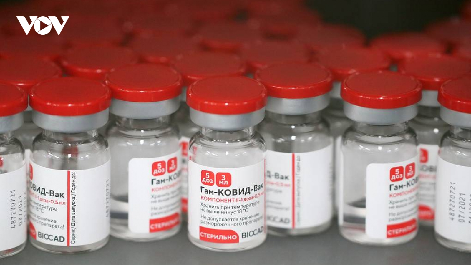 TASS: Việt Nam sản xuất lô vaccine Covid-19 Sputnik V thử nghiệm đầu tiên